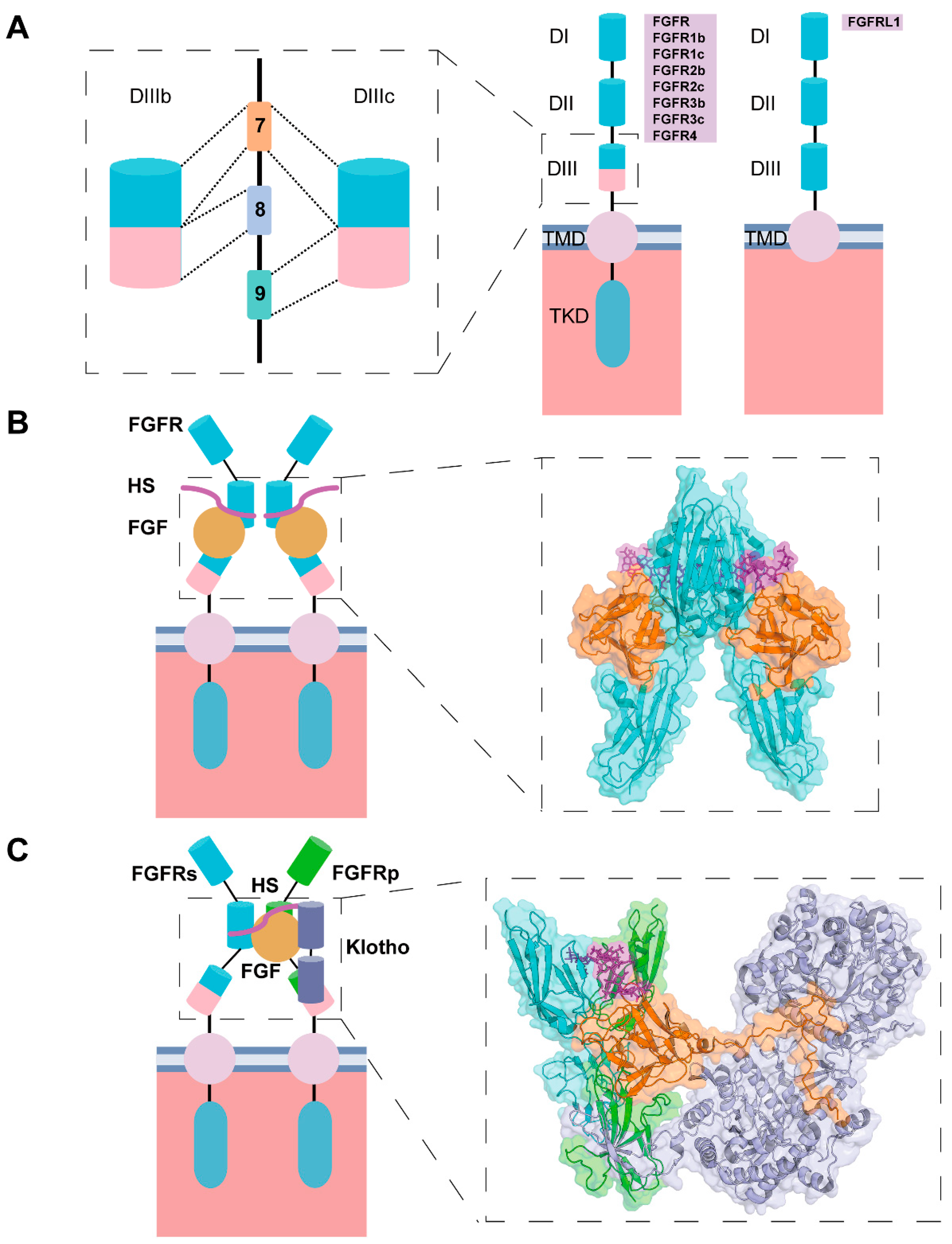 Bioengineering 12 01019 g002 Bioengineering 12 01019 g002