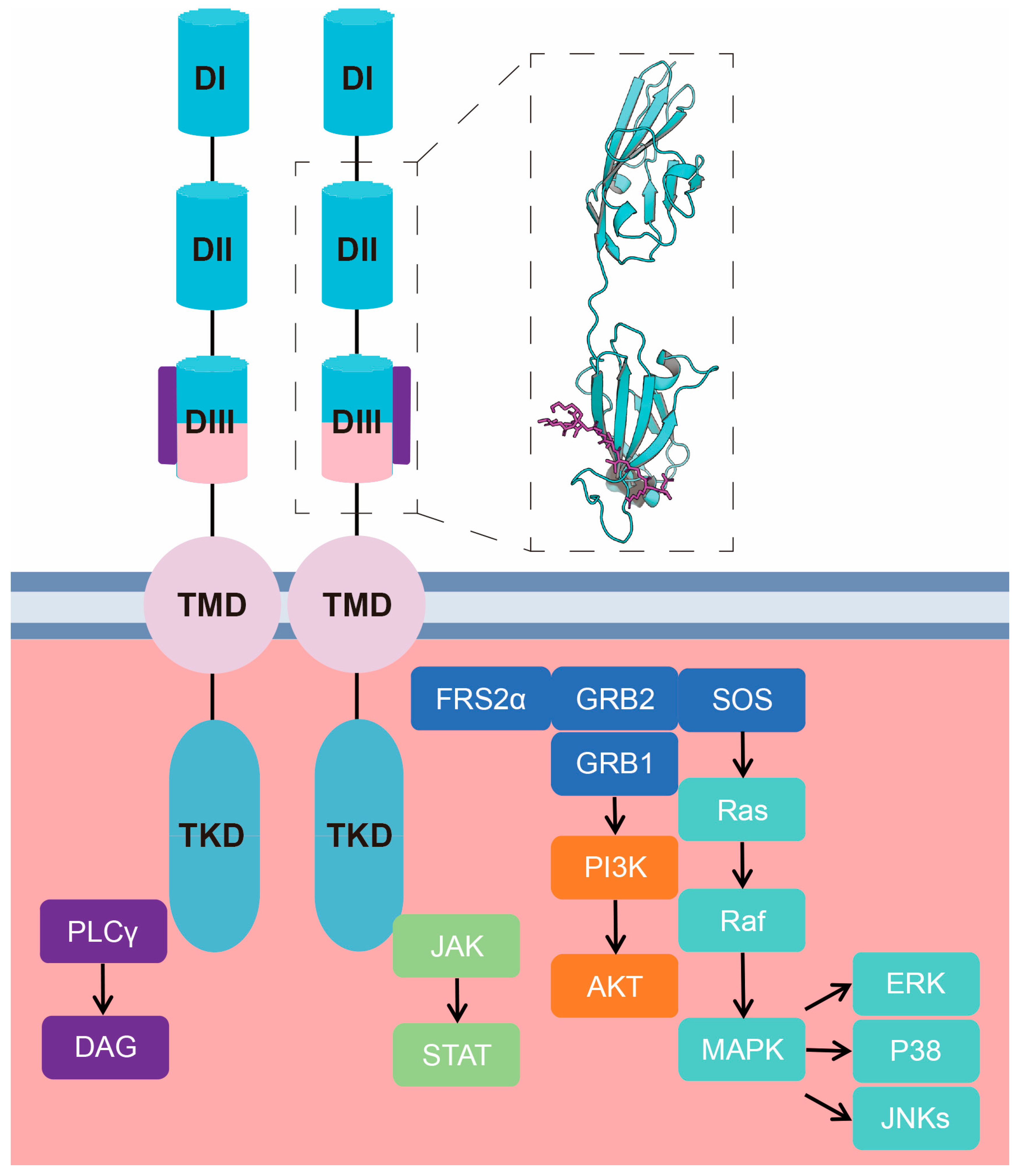 Bioengineering 12 01019 g003 Bioengineering 12 01019 g003