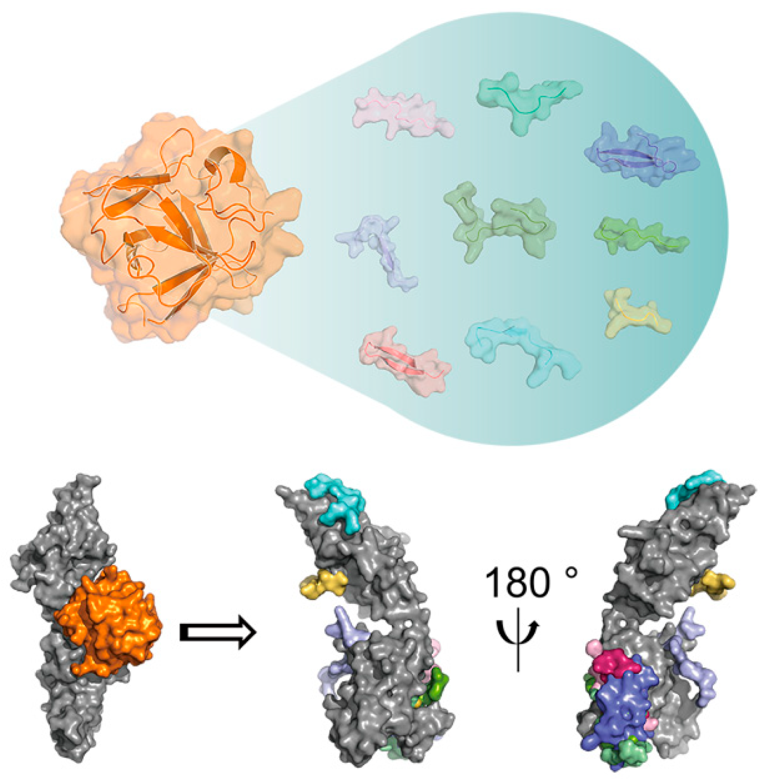 Bioengineering 12 01019 g004 Bioengineering 12 01019 g004