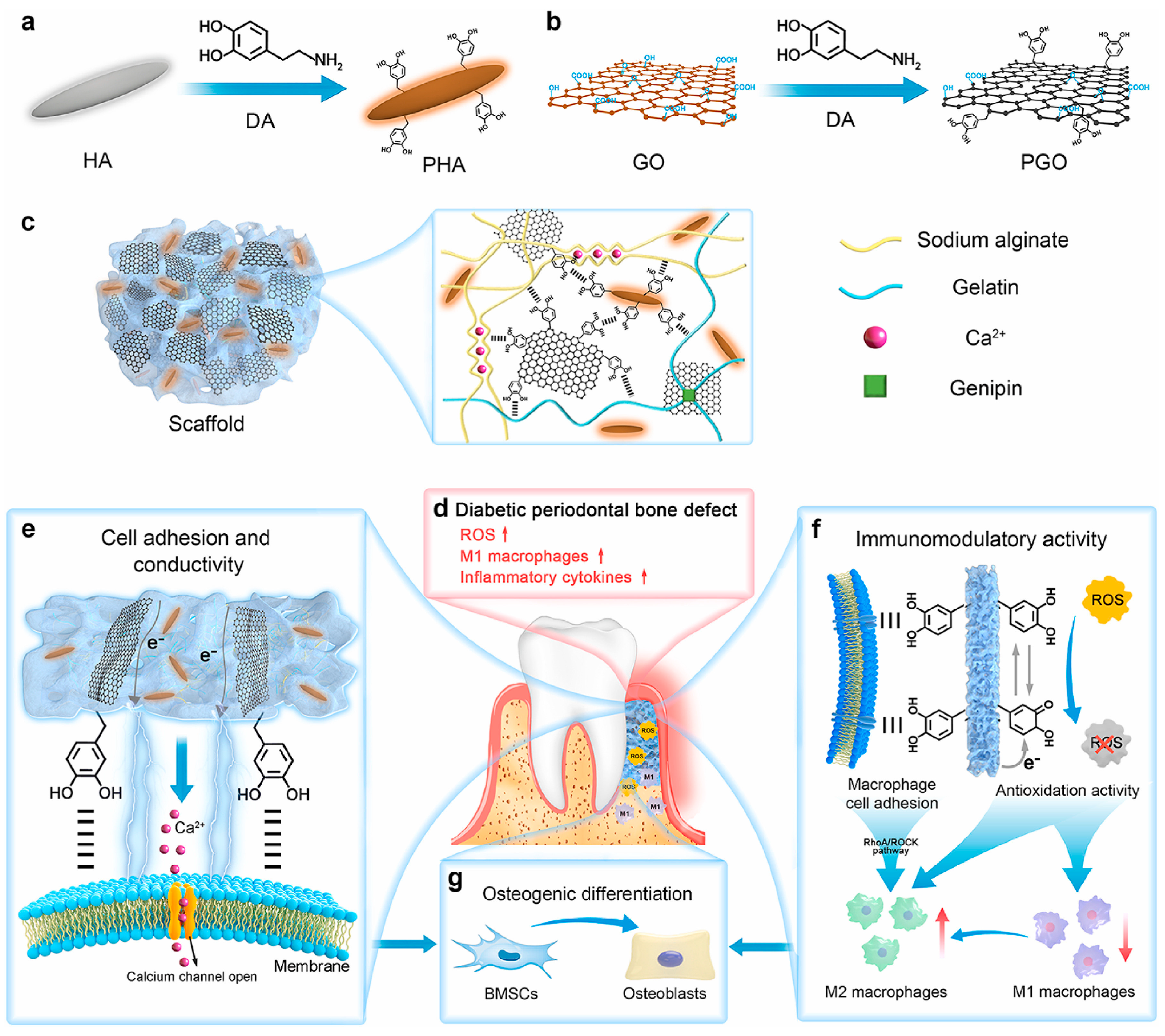 Bioengineering 12 01021 g003