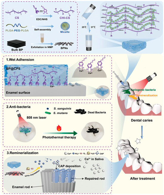 Advances of Functional Two-Dimensional Nanomaterials in the
