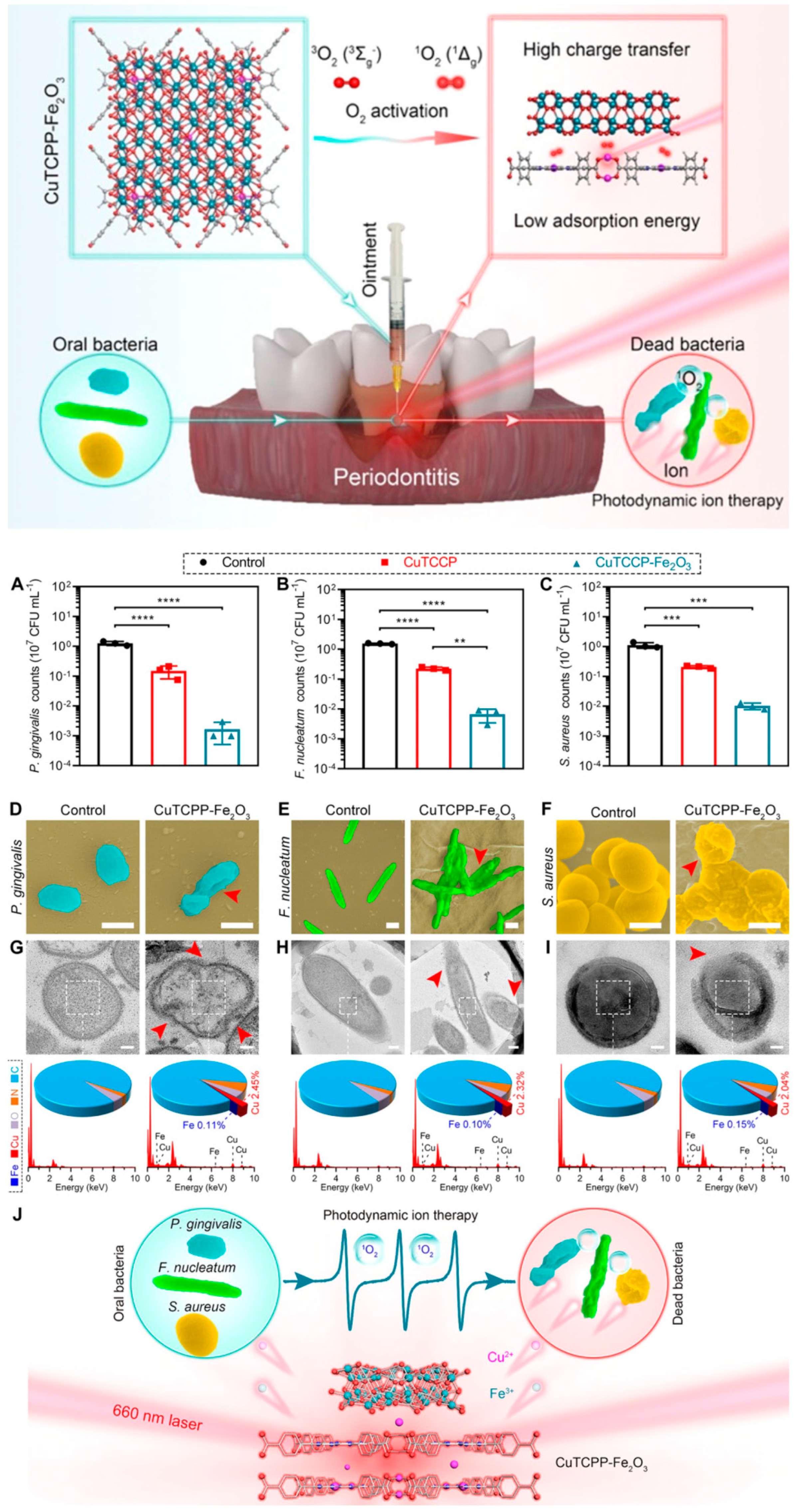 Bioengineering 12 01021 g005