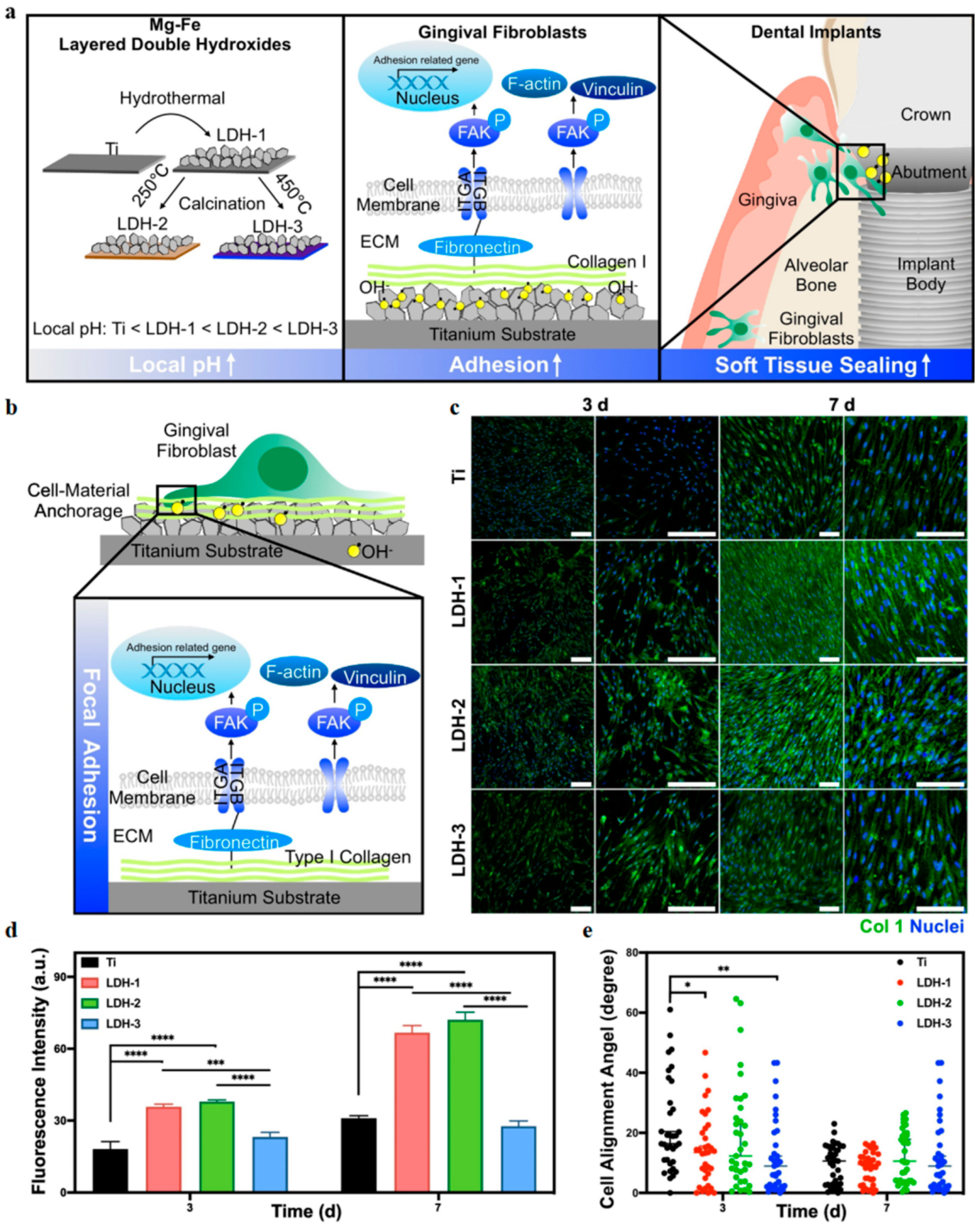 Bioengineering 12 01021 g008