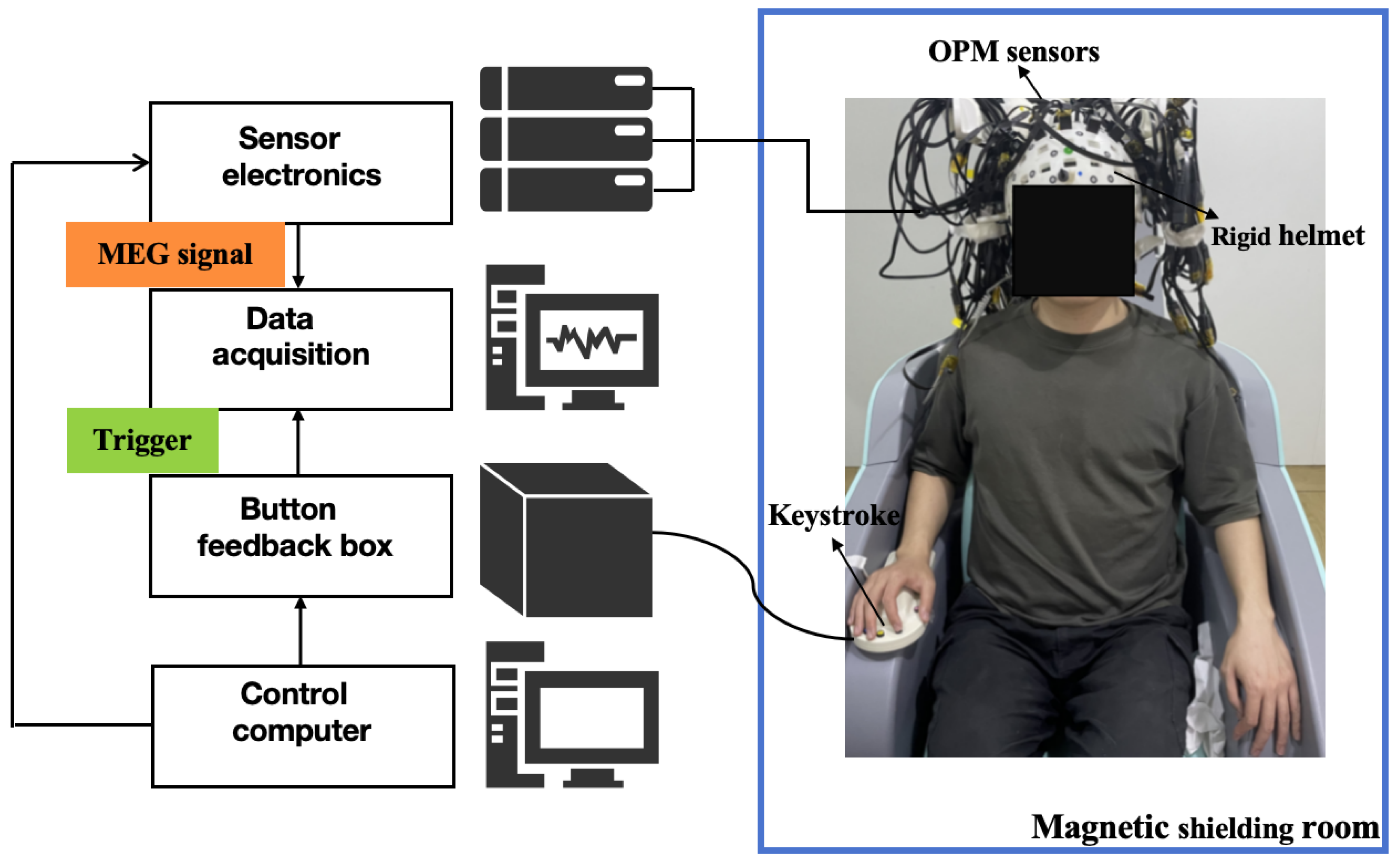Bioengineering 12 01022 g001