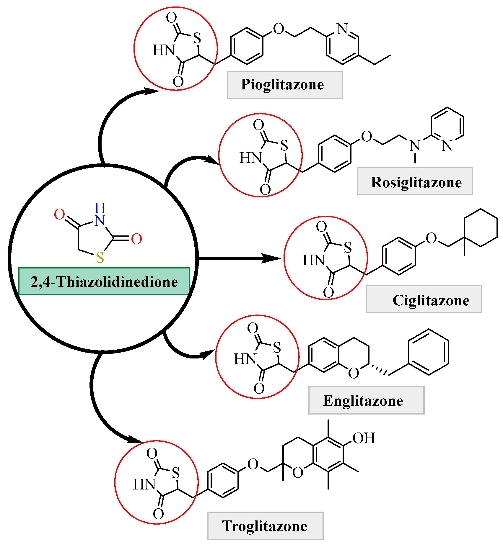 Bioengineering 12 01024 g001