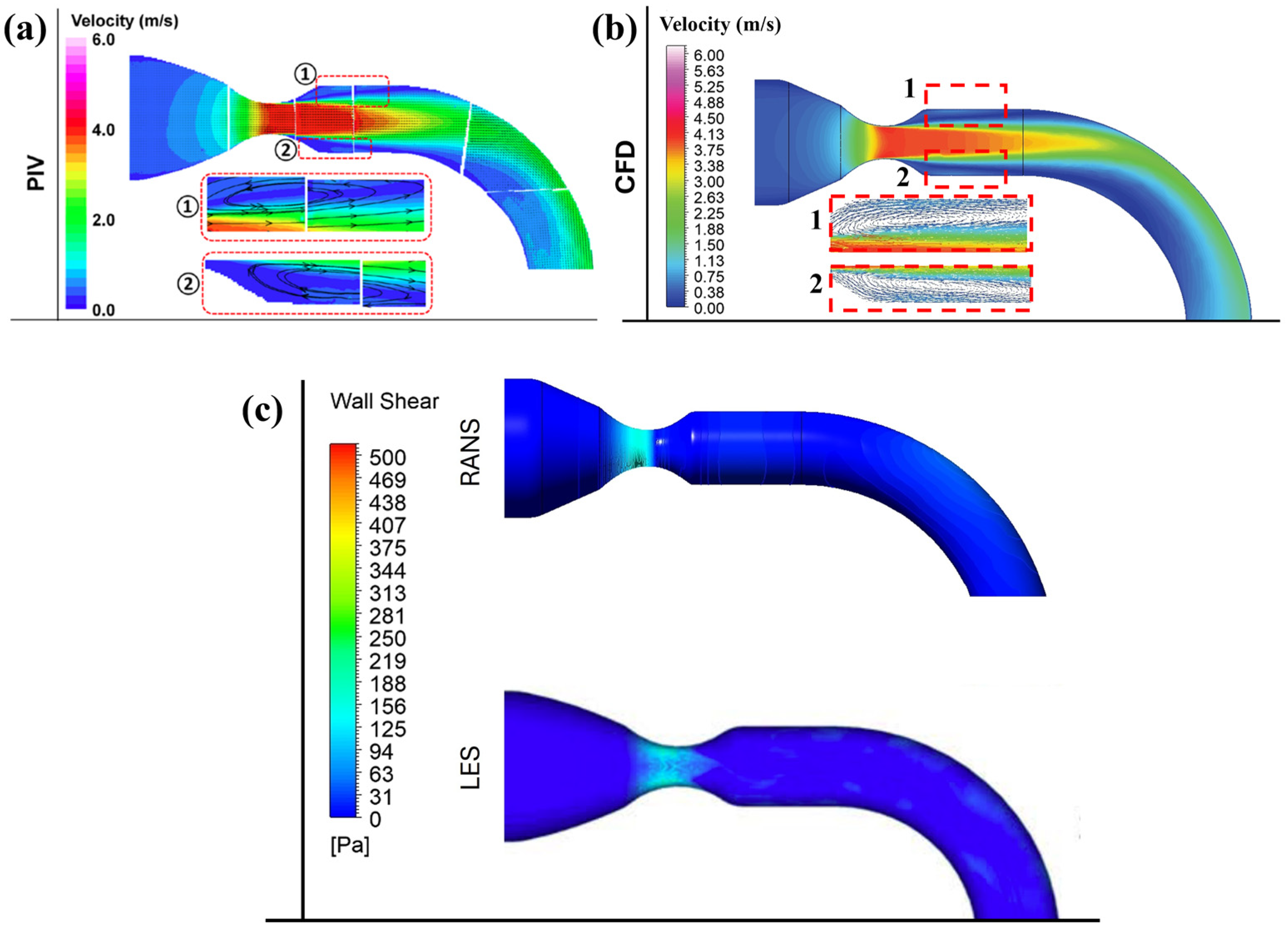 Bioengineering 12 01029 g003 Bioengineering 12 01029 g003
