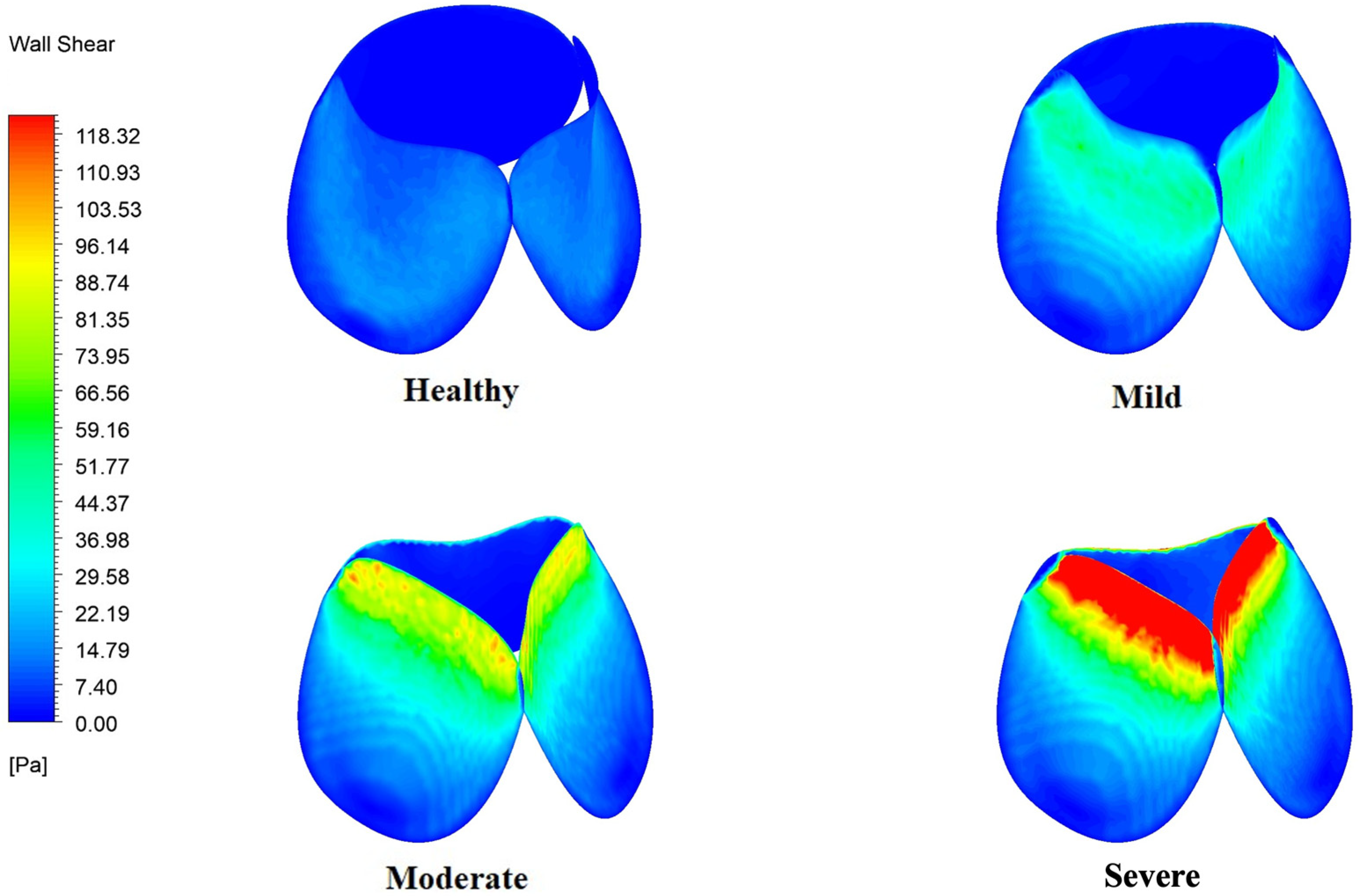Bioengineering 12 01029 g010 Bioengineering 12 01029 g010
