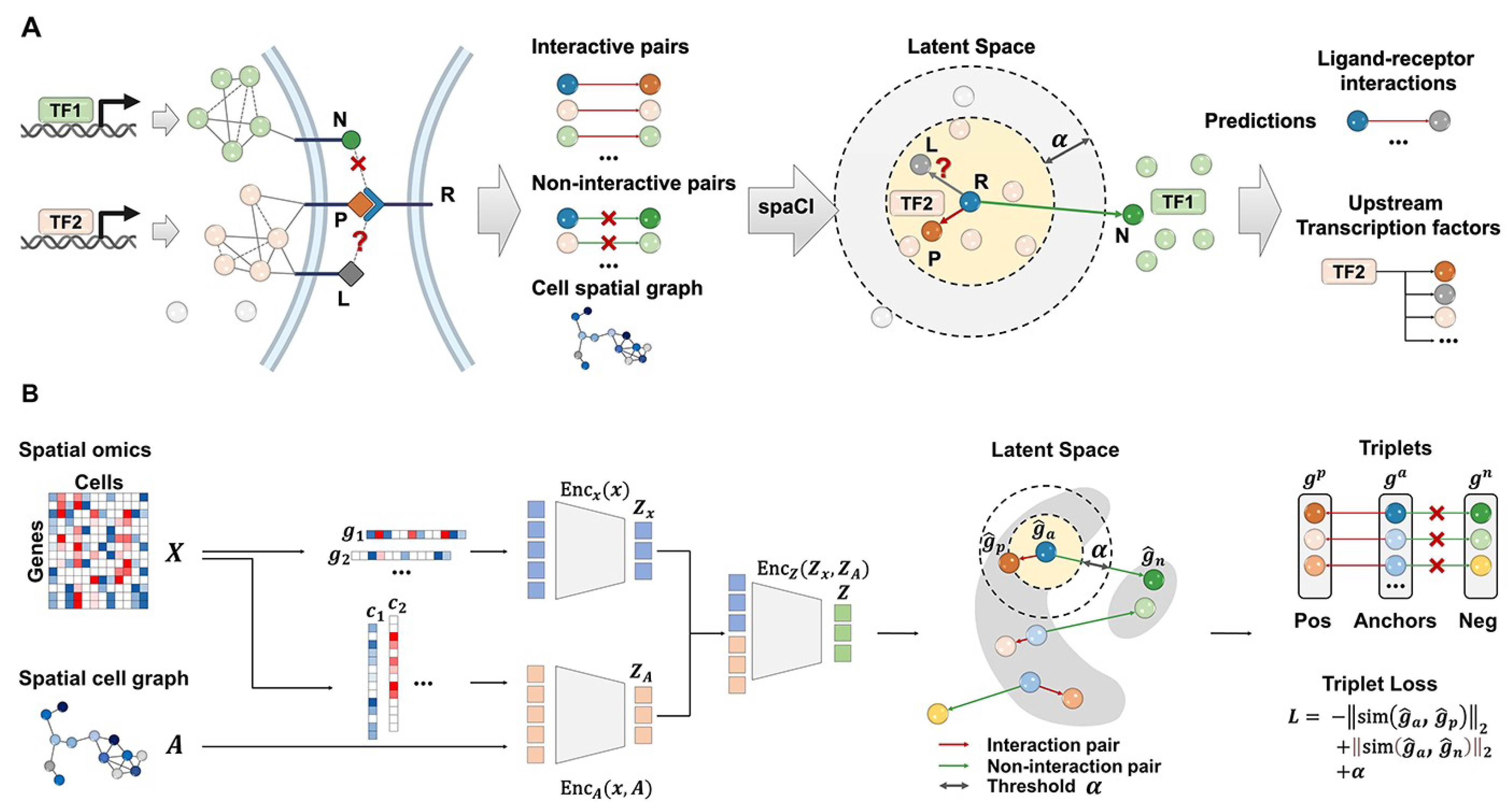 Bioengineering 12 01037 g002 Bioengineering 12 01037 g002