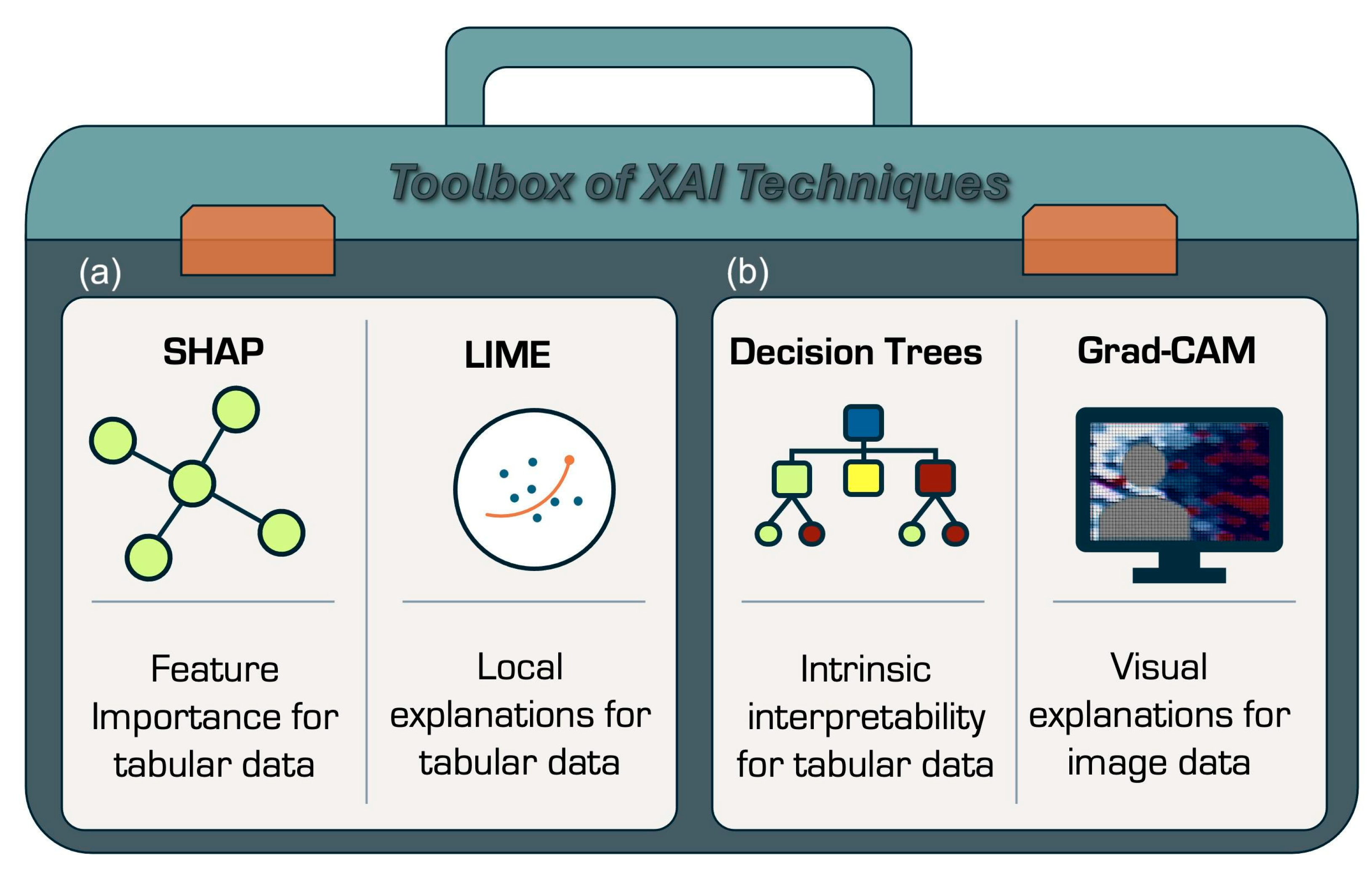 Bioengineering 12 01039 g002