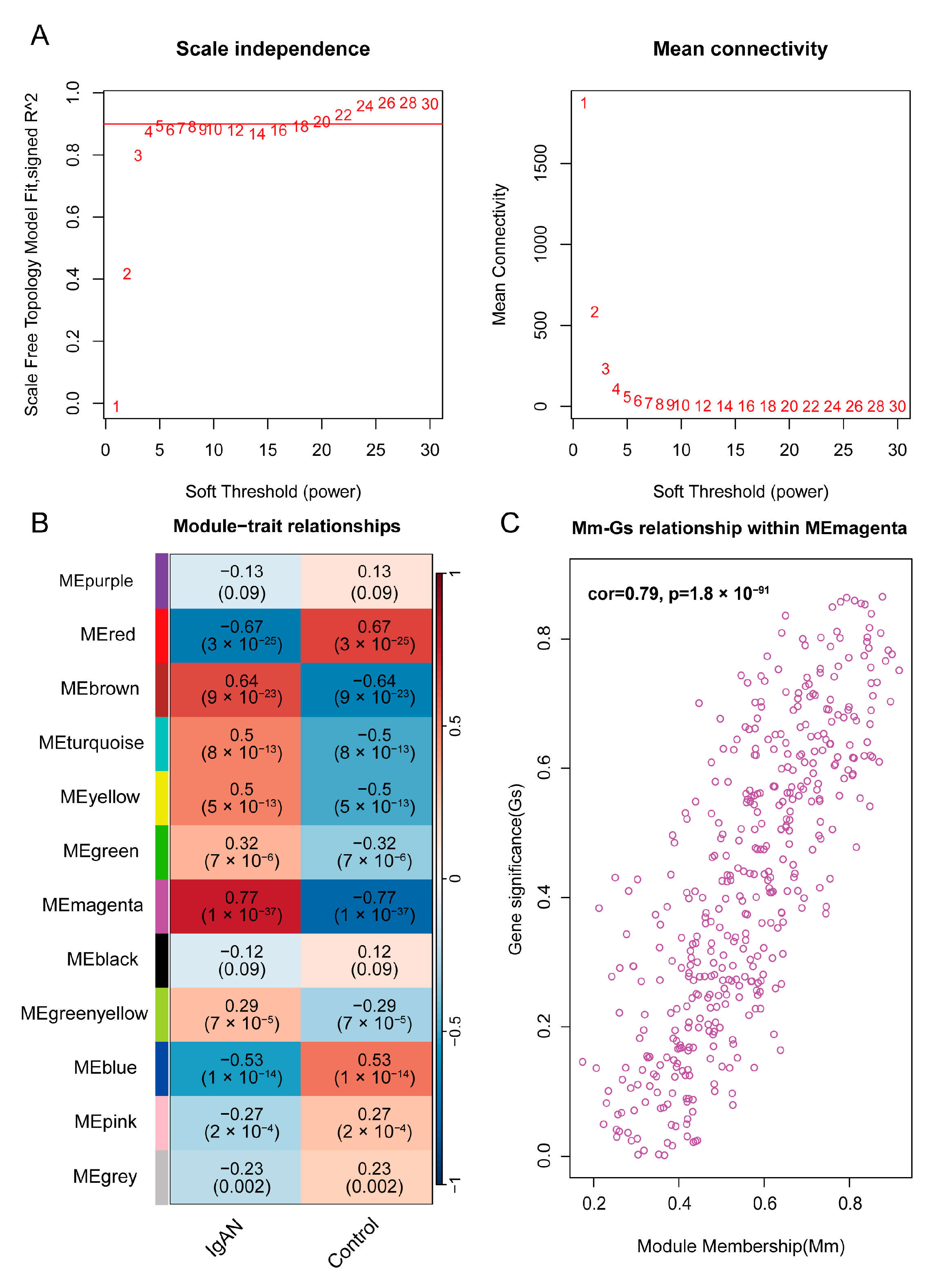 Bioengineering 12 01040 g003 Bioengineering 12 01040 g003