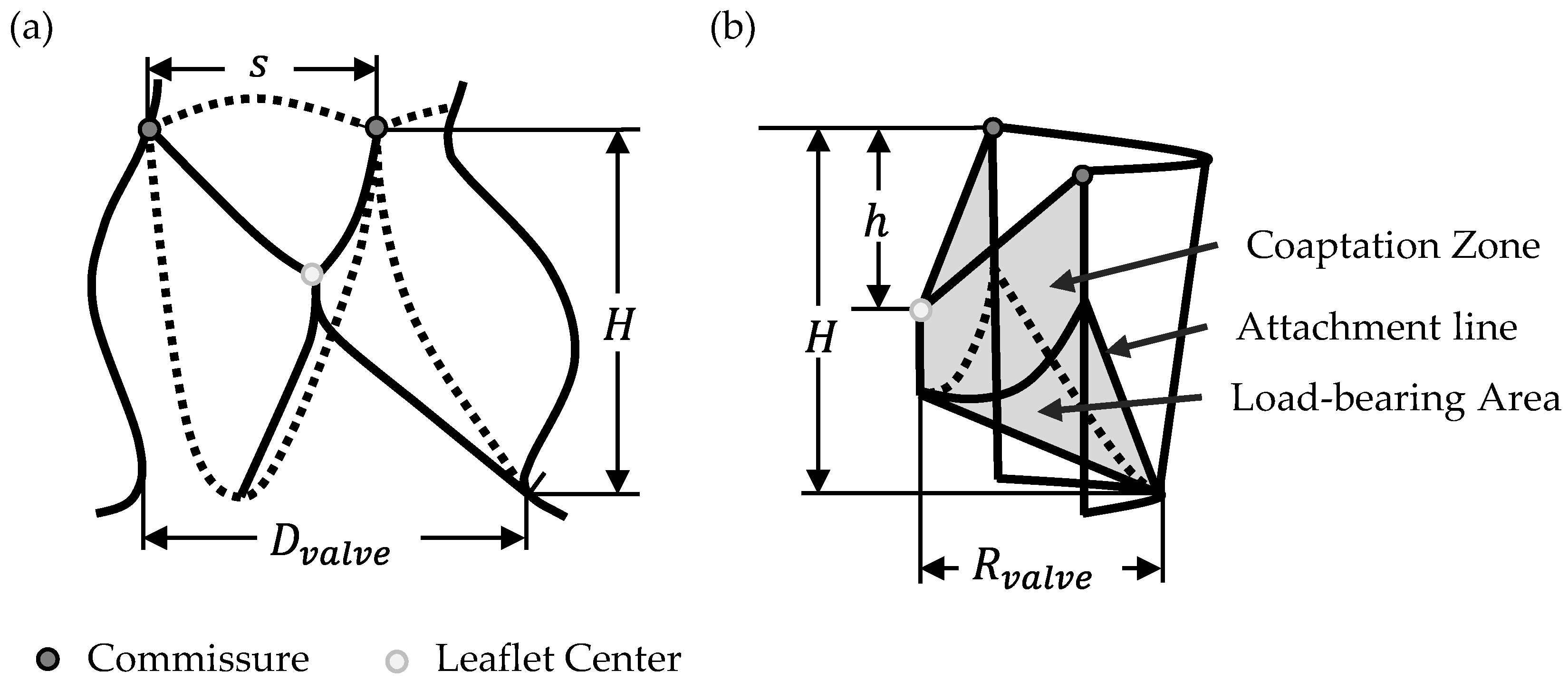 Bioengineering 12 01044 g001