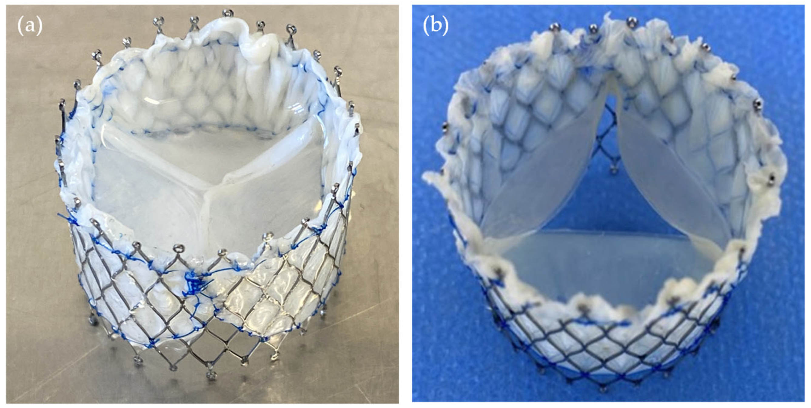 Bioengineering 12 01044 g005