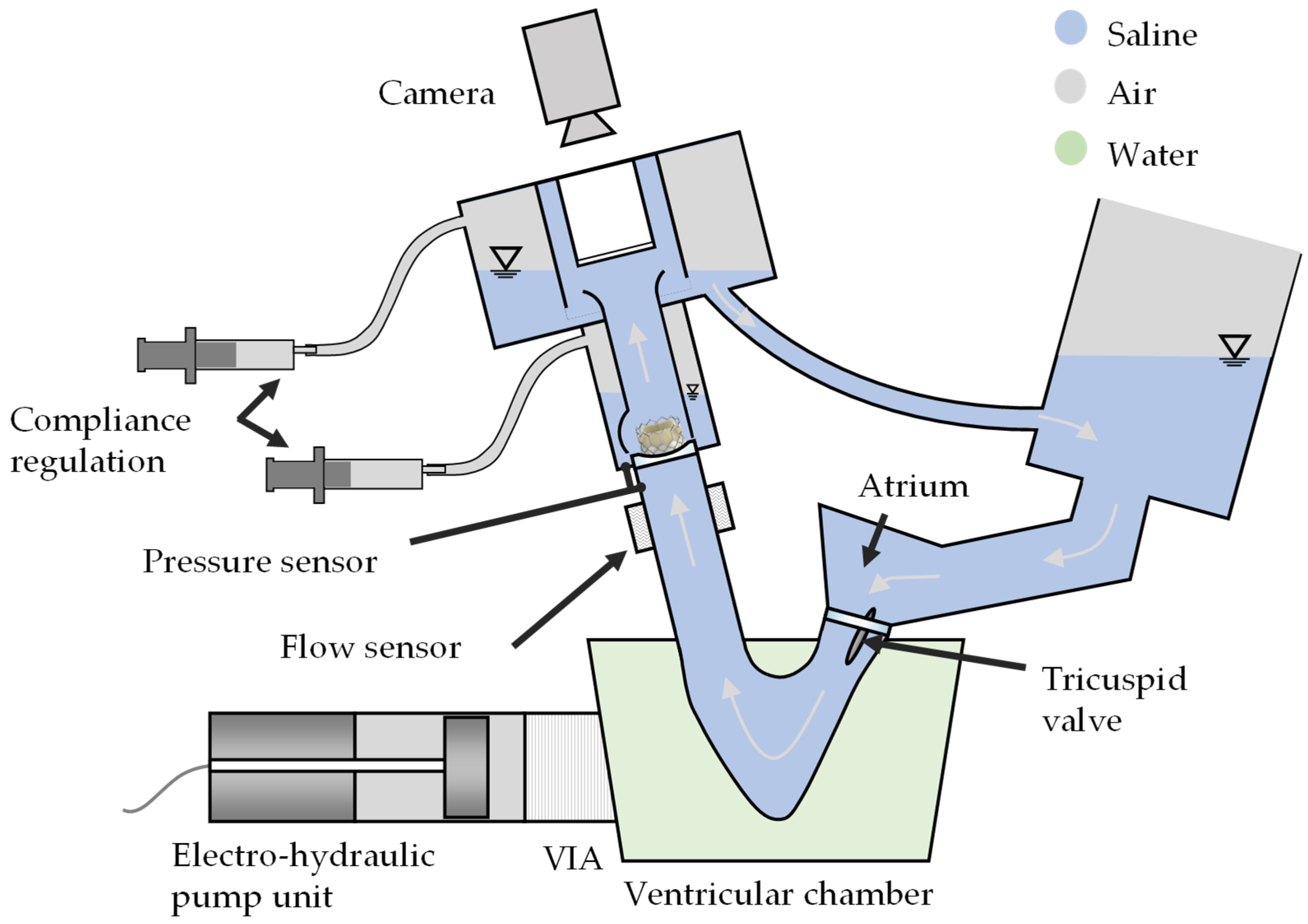 Bioengineering 12 01044 g006
