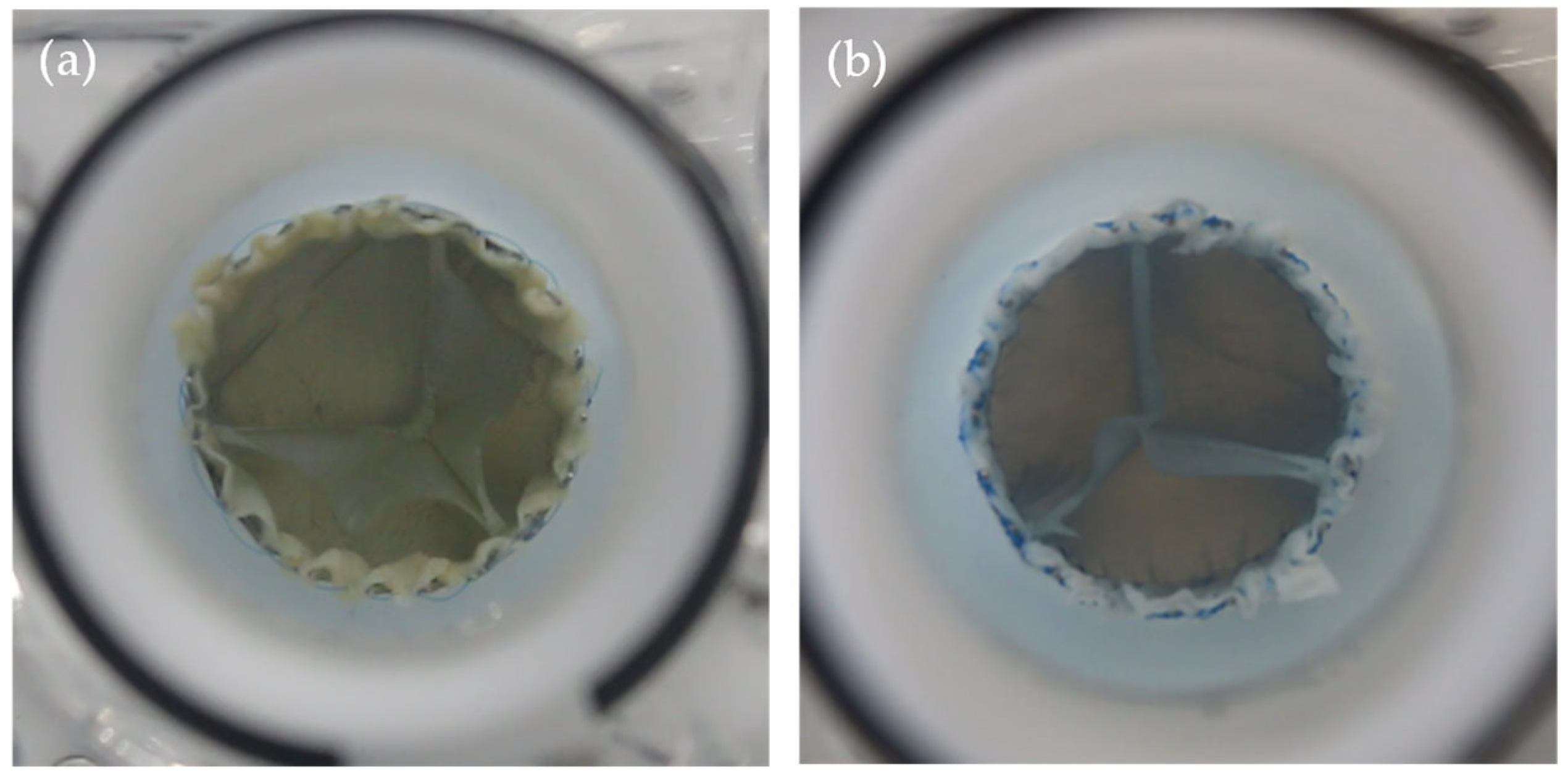 Bioengineering 12 01044 g010