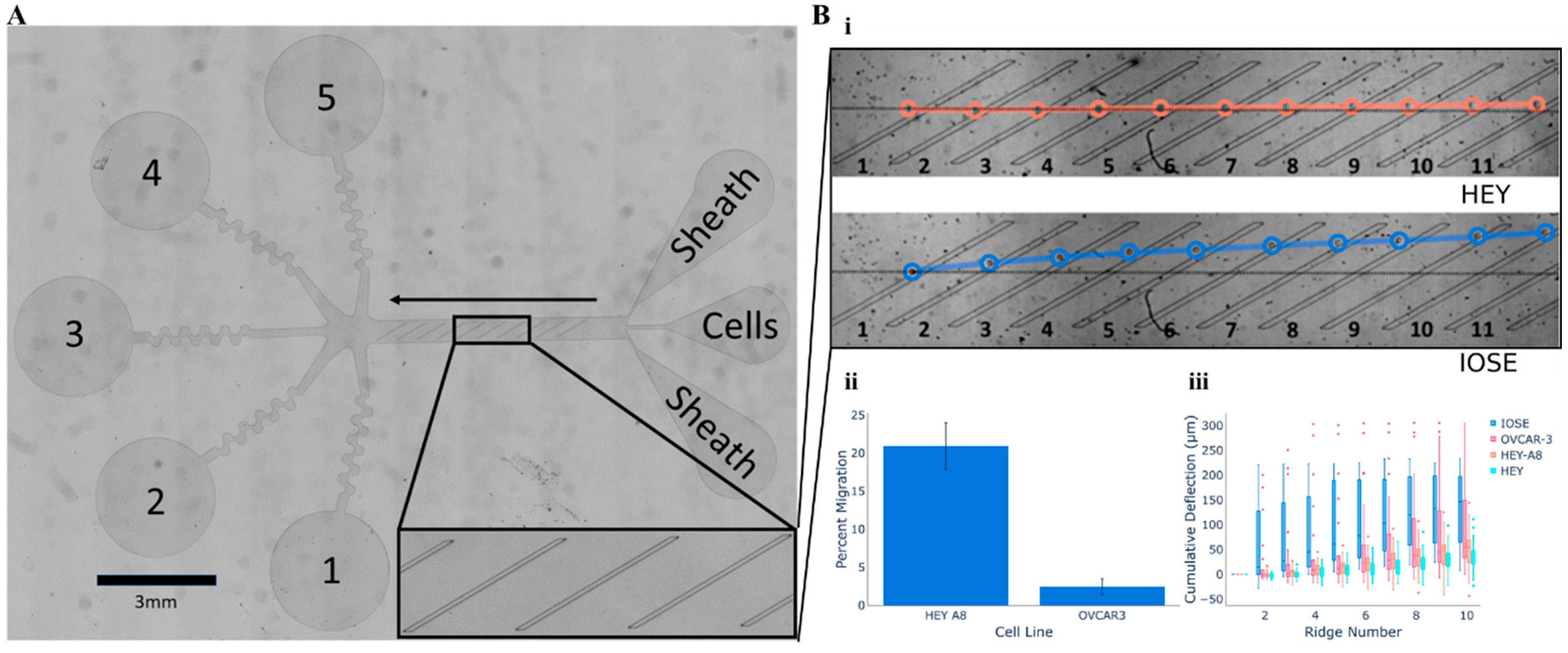 Bioengineering 12 01045 g003