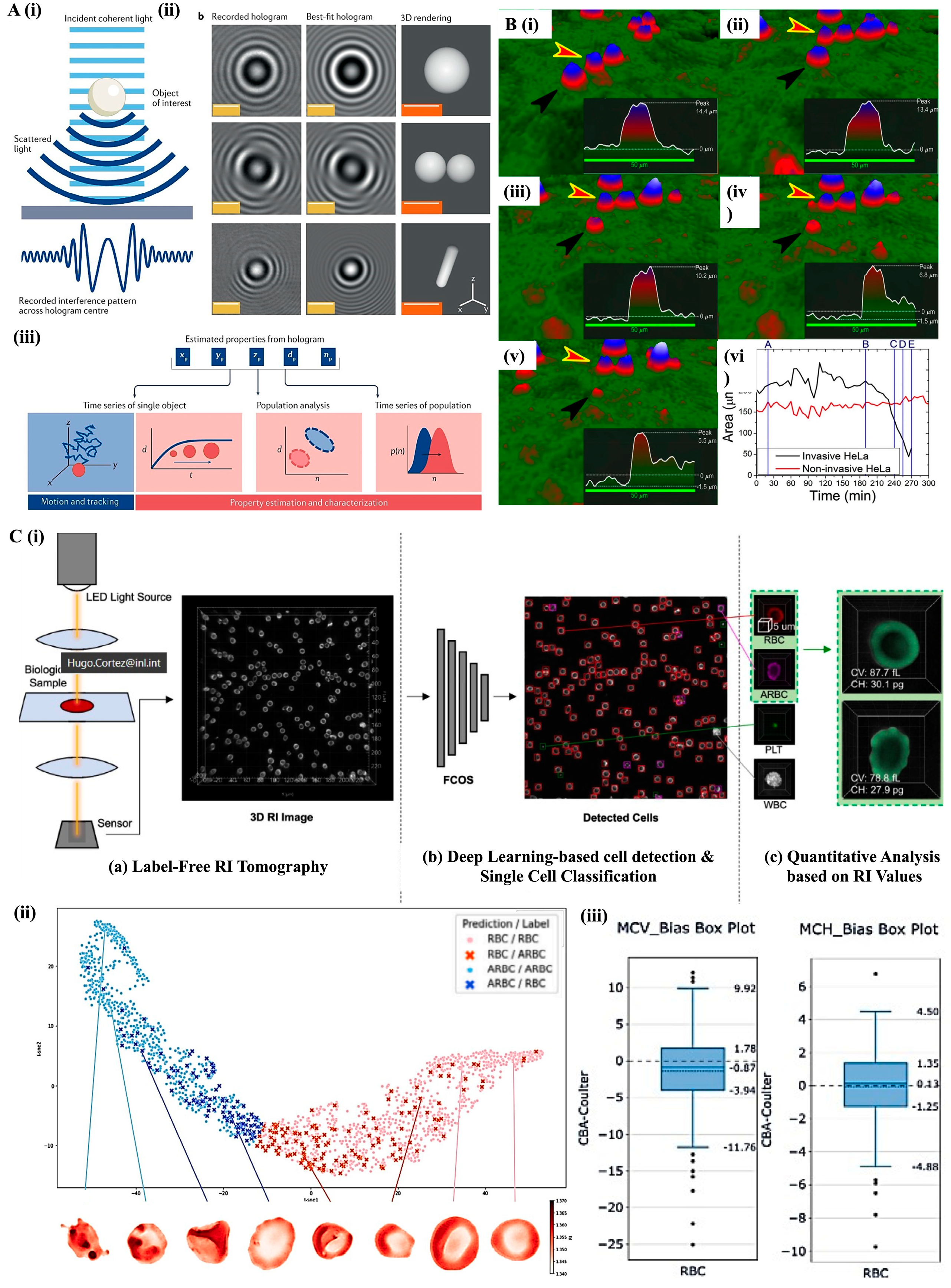 Bioengineering 12 01045 g005