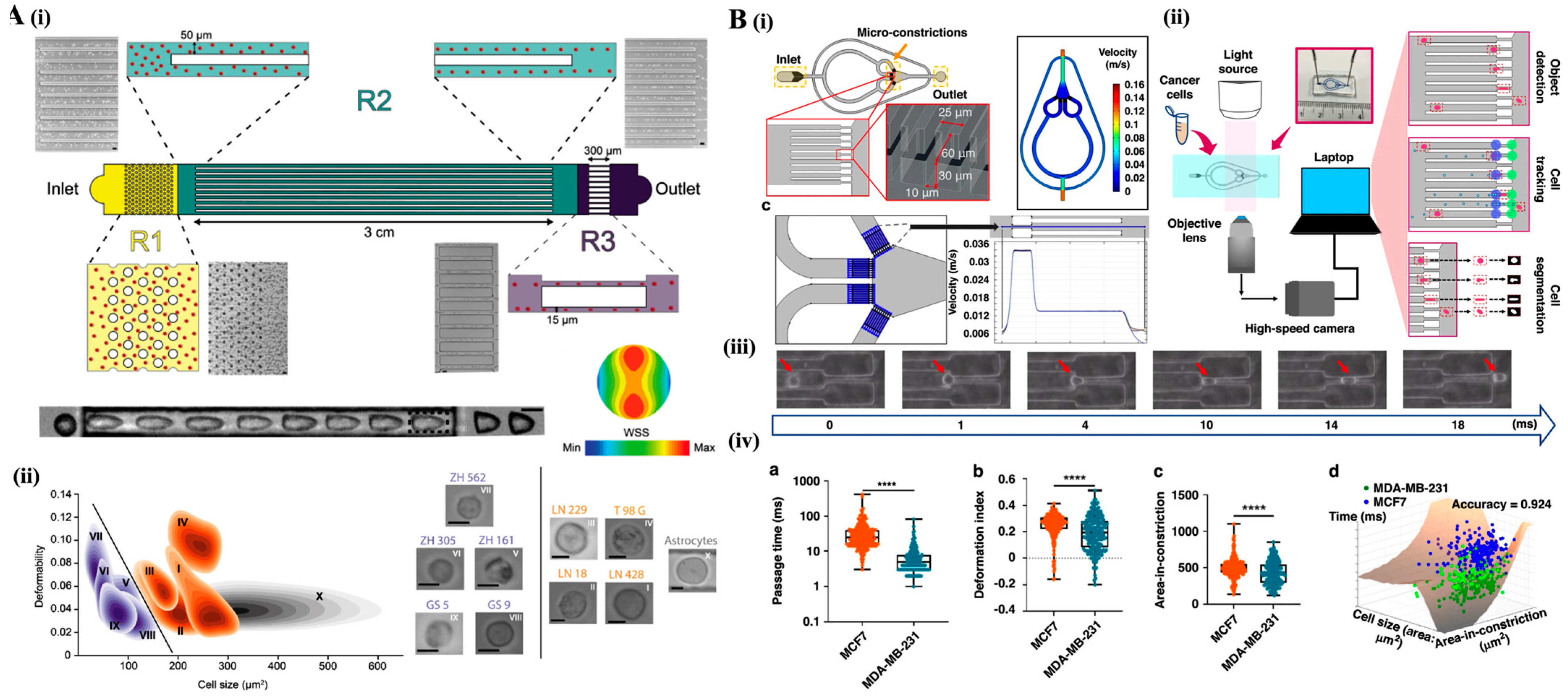 Bioengineering 12 01045 g006