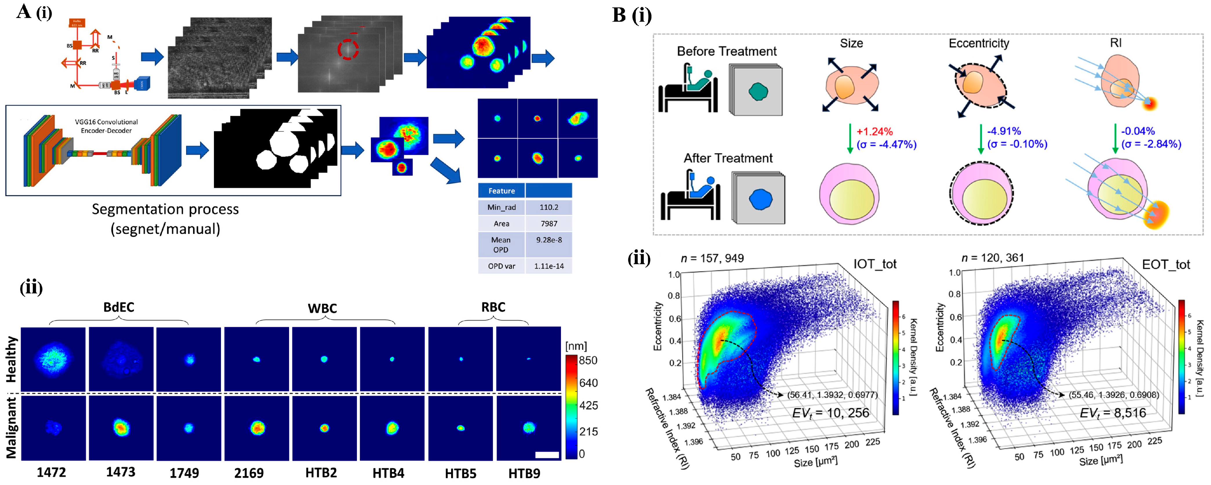Bioengineering 12 01045 g008
