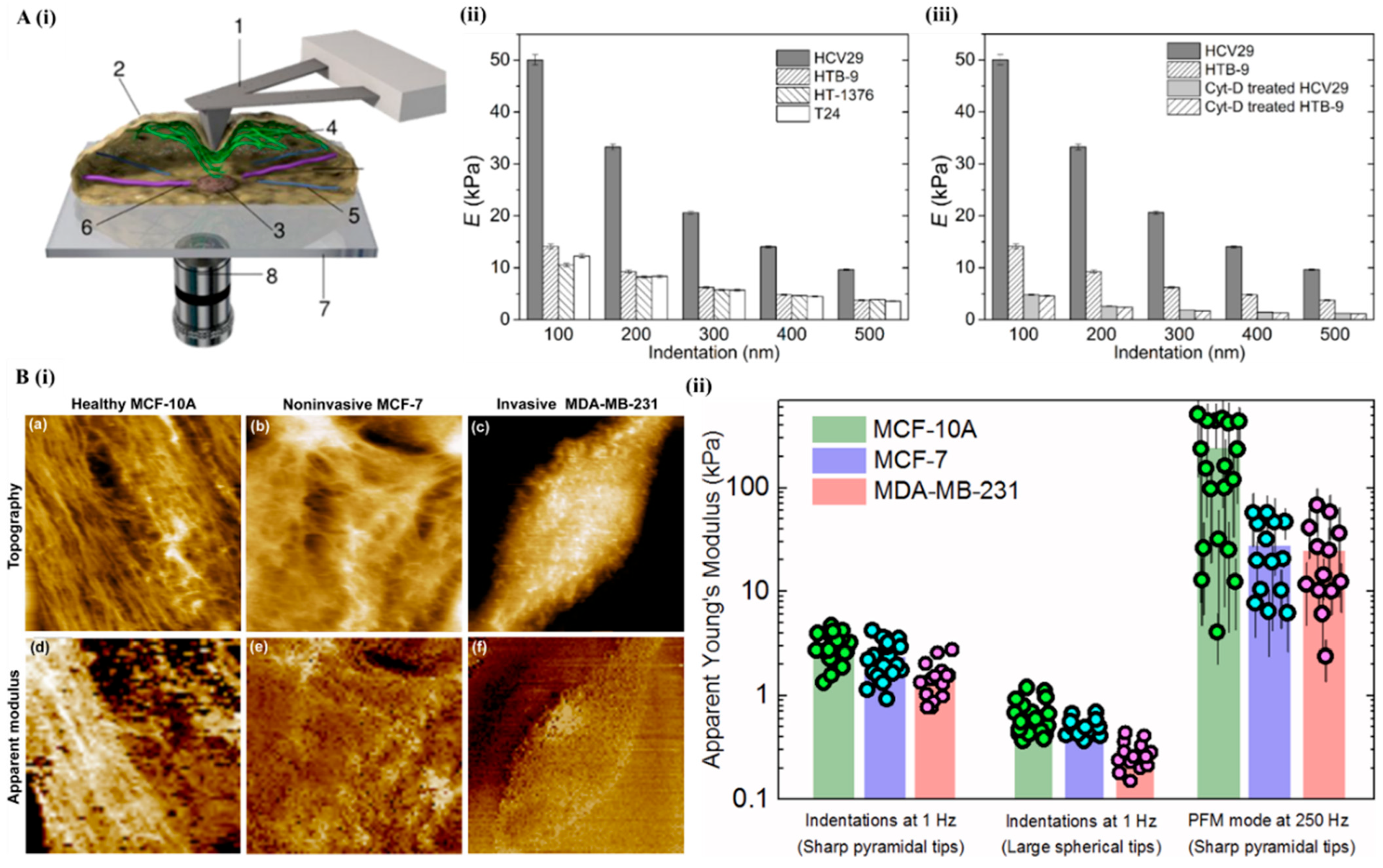 Bioengineering 12 01045 g010