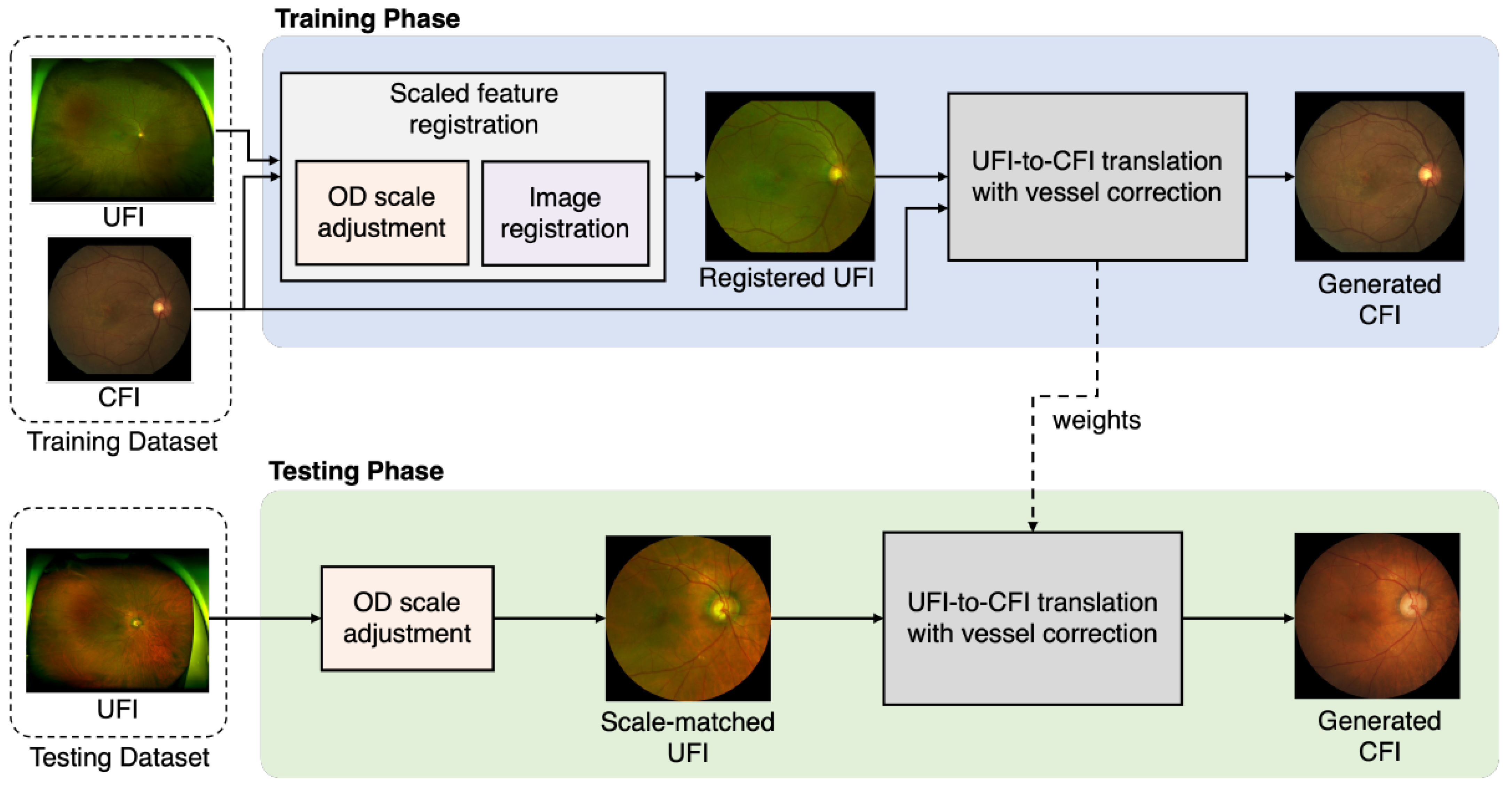 Bioengineering 12 01046 g002 Bioengineering 12 01046 g002