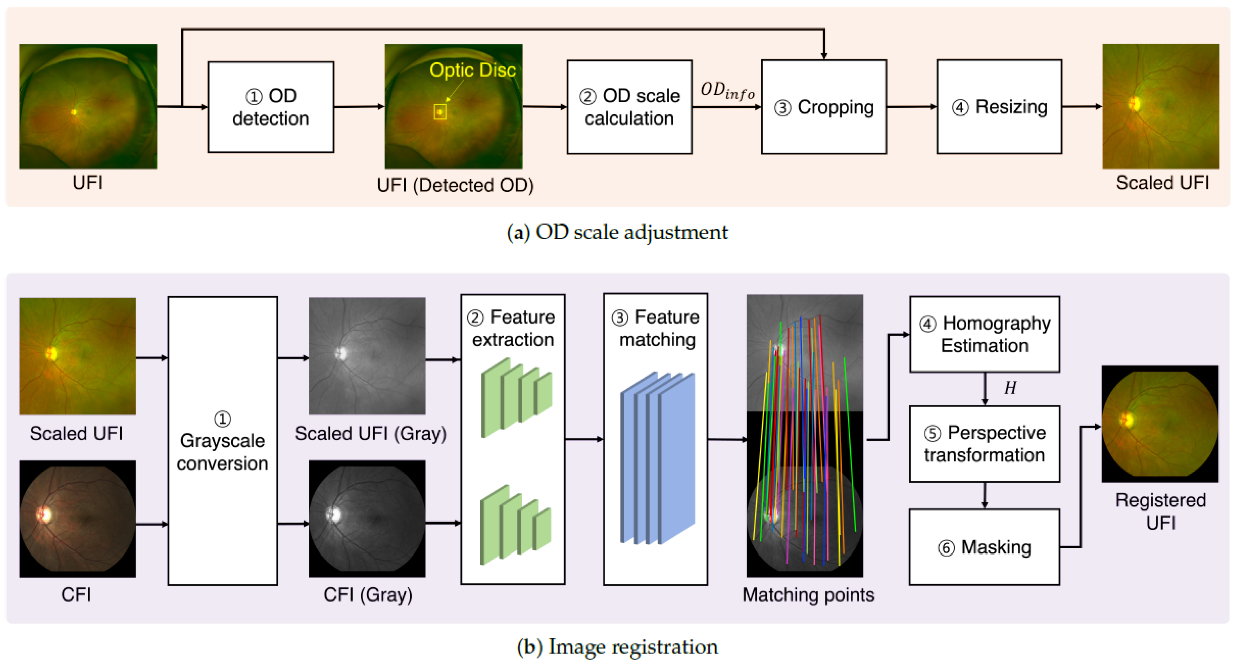 Bioengineering 12 01046 g003 Bioengineering 12 01046 g003
