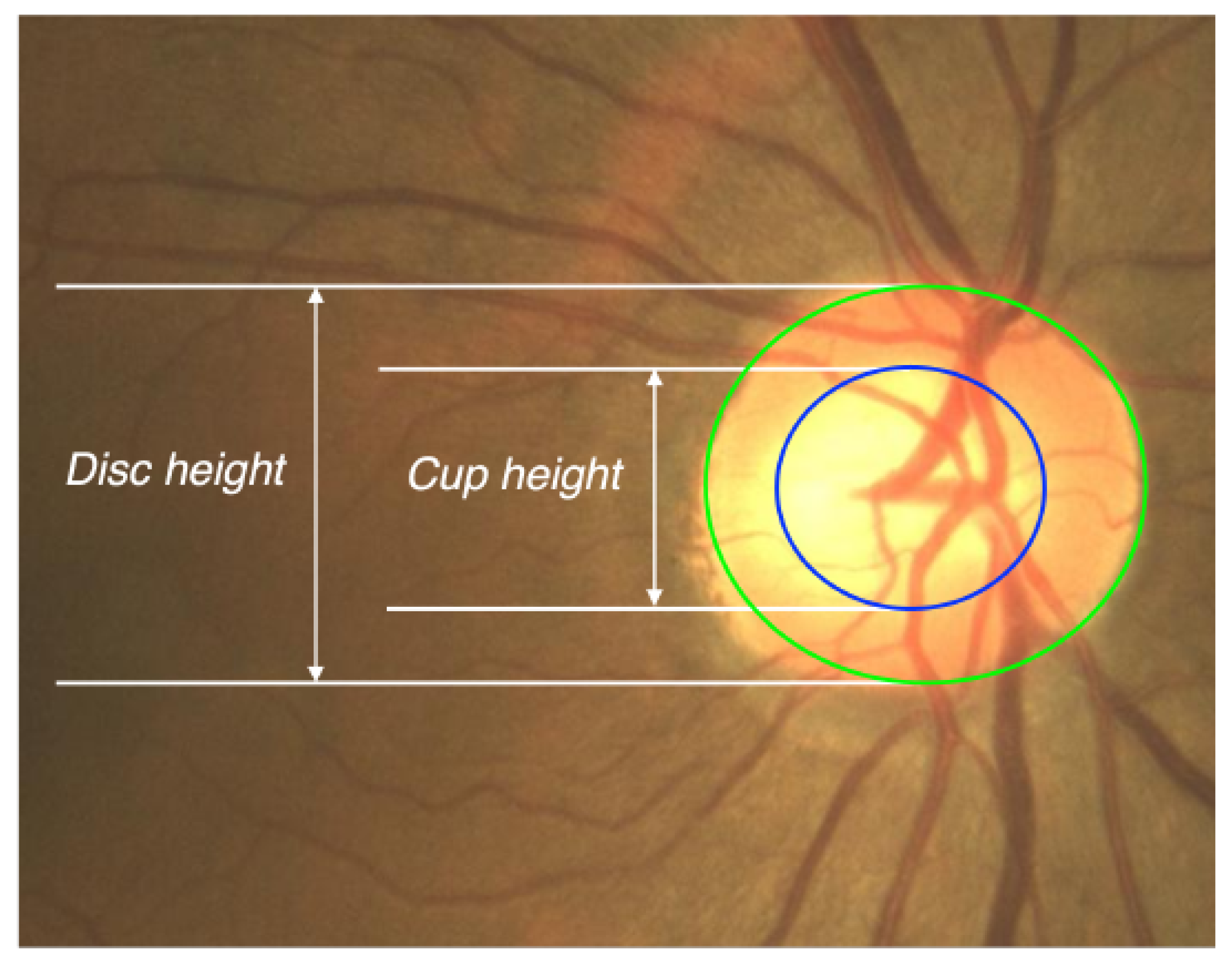 Bioengineering 12 01046 g007 Bioengineering 12 01046 g007