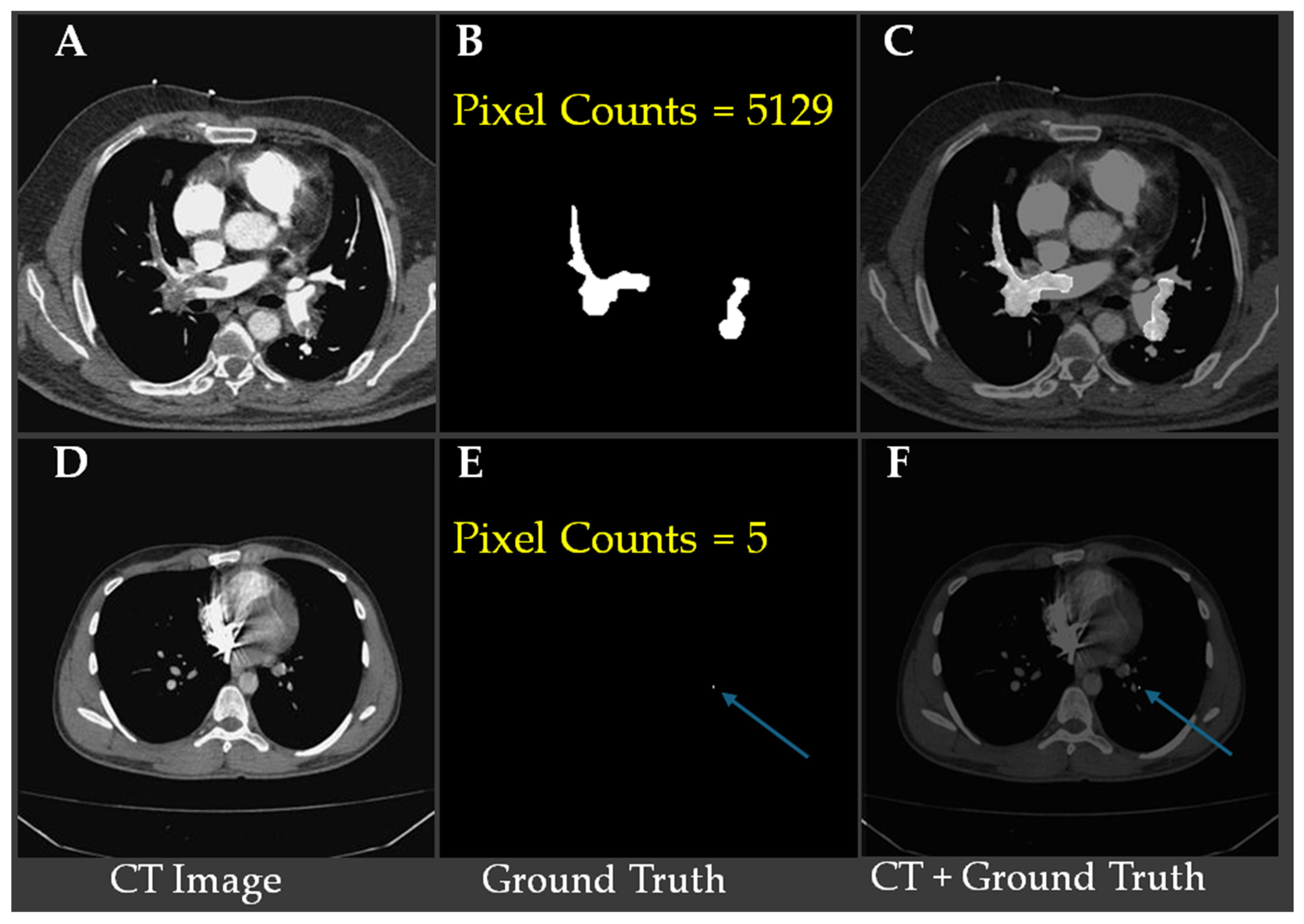 Bioengineering 12 01055 g002