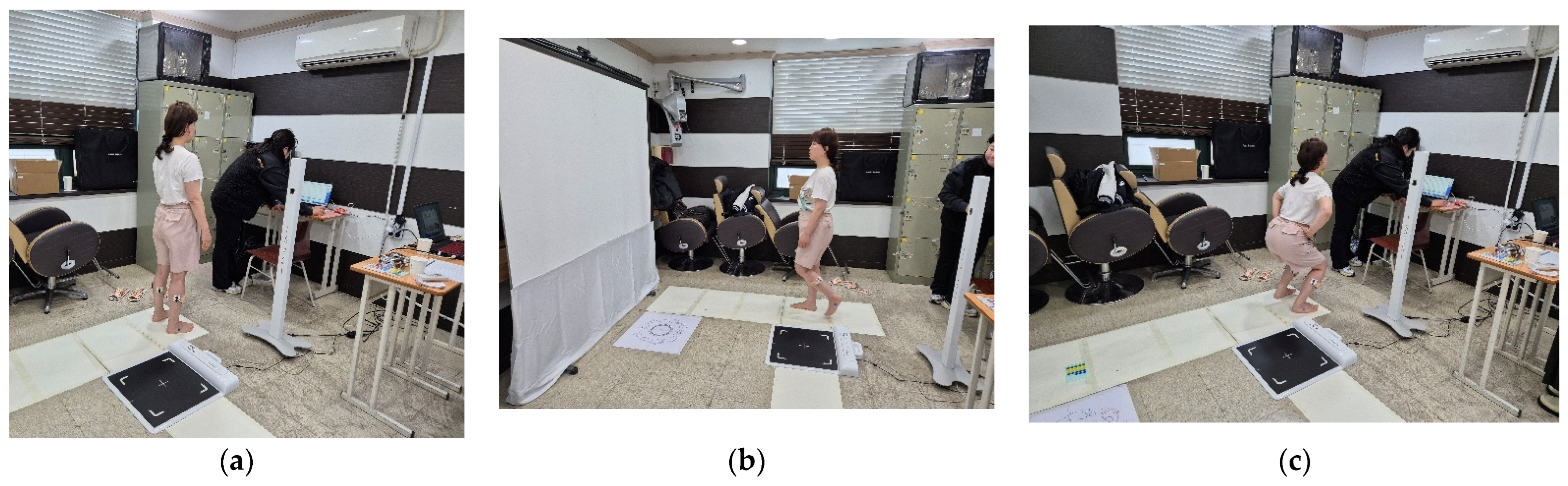 Bioengineering 12 01060 g002