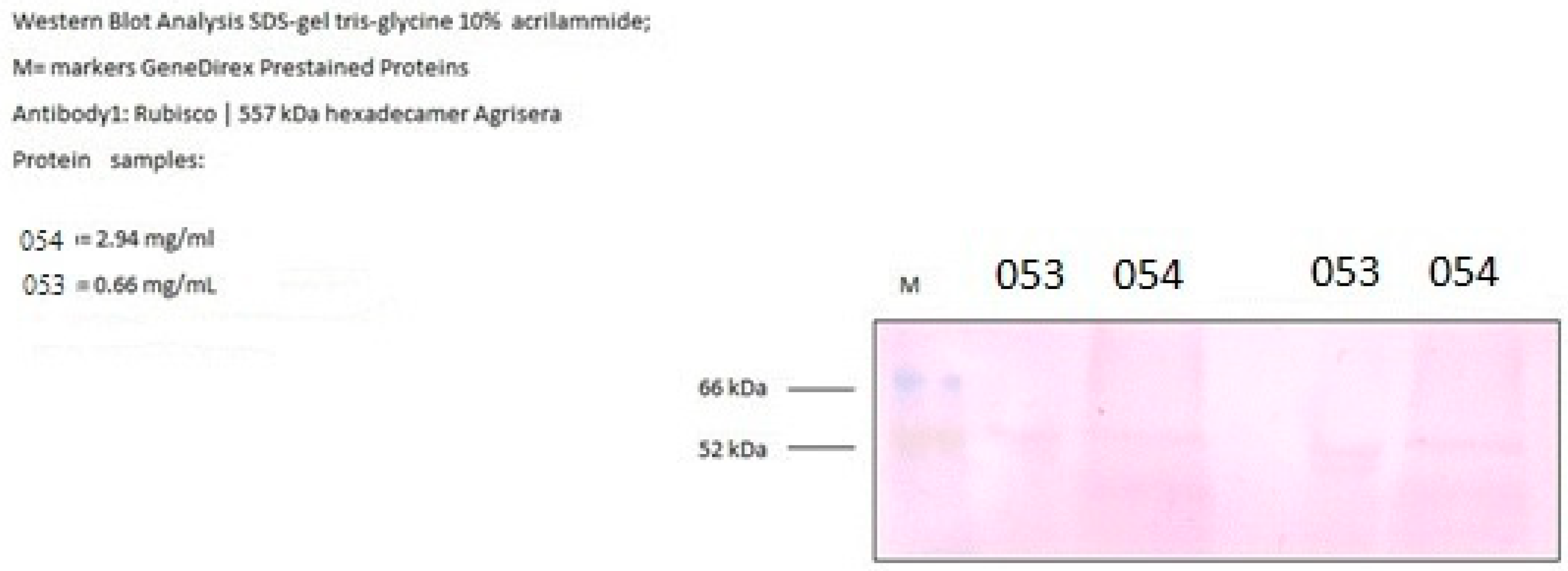 Bioengineering 12 01061 g006