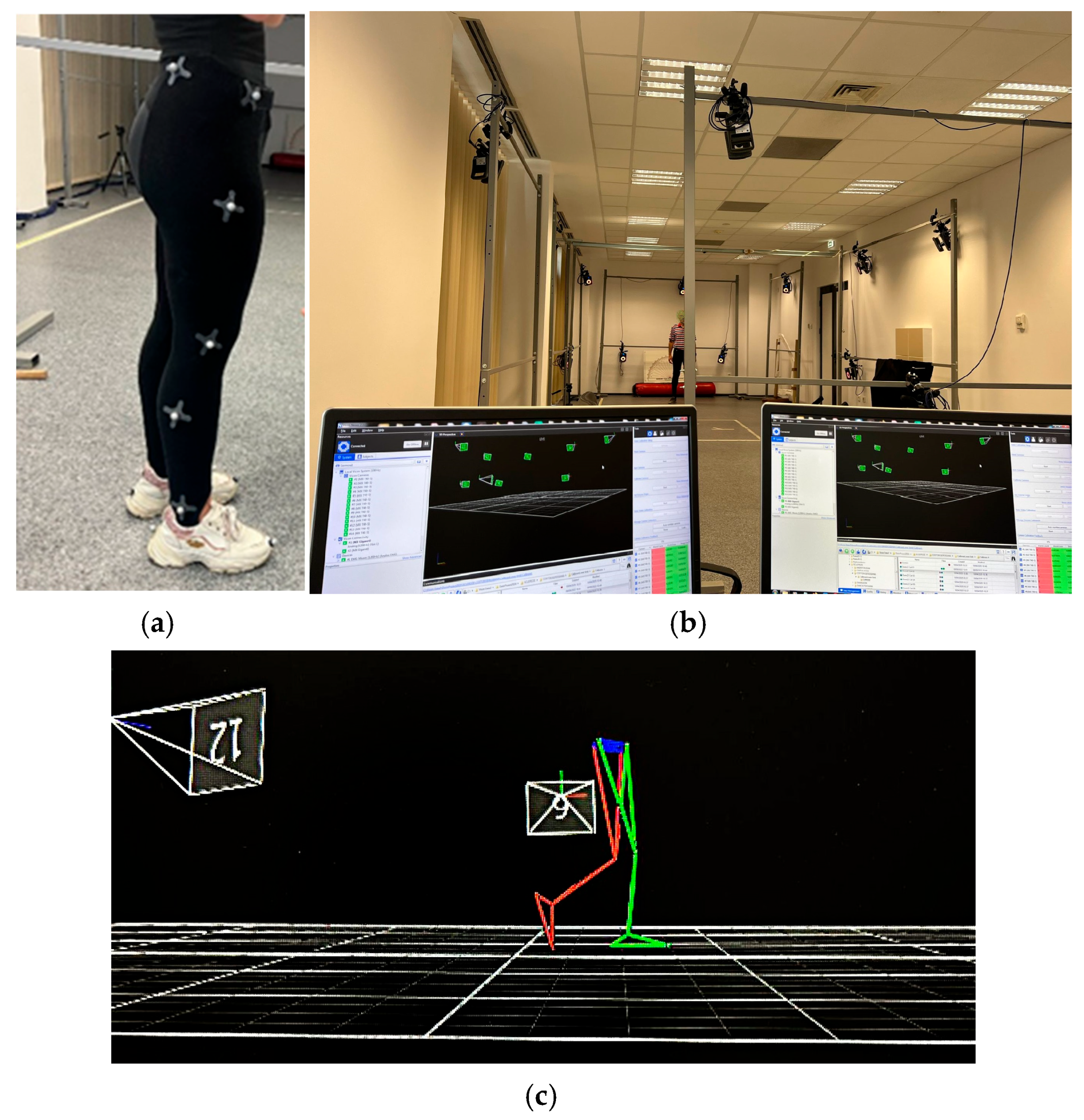 Bioengineering 12 01067 g001 Bioengineering 12 01067 g001