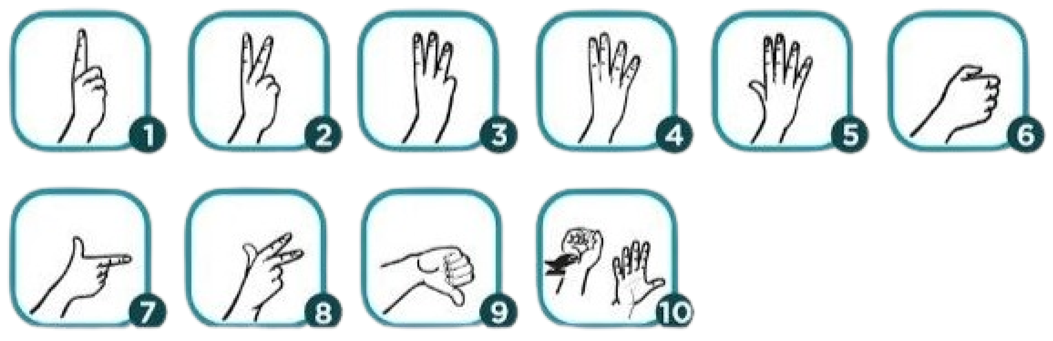 Bioengineering 12 01068 g002