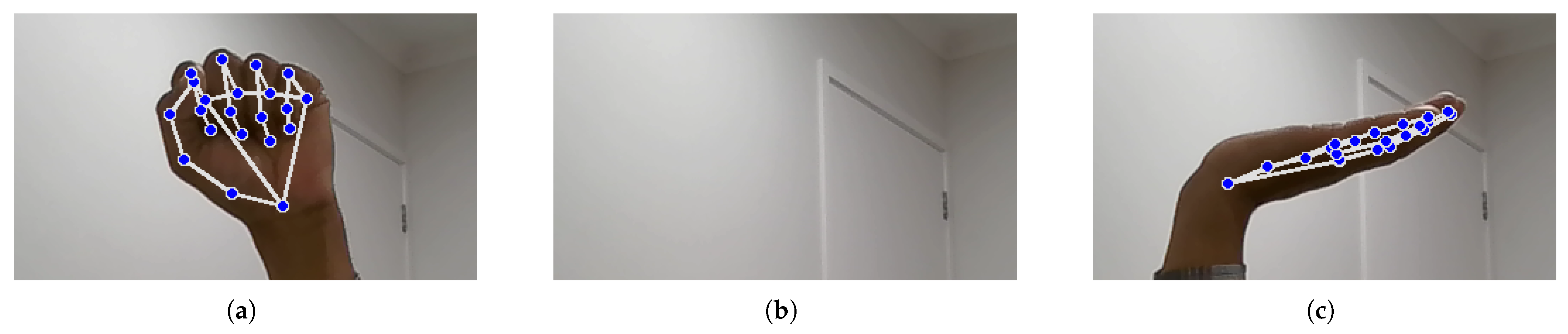 Bioengineering 12 01068 g029