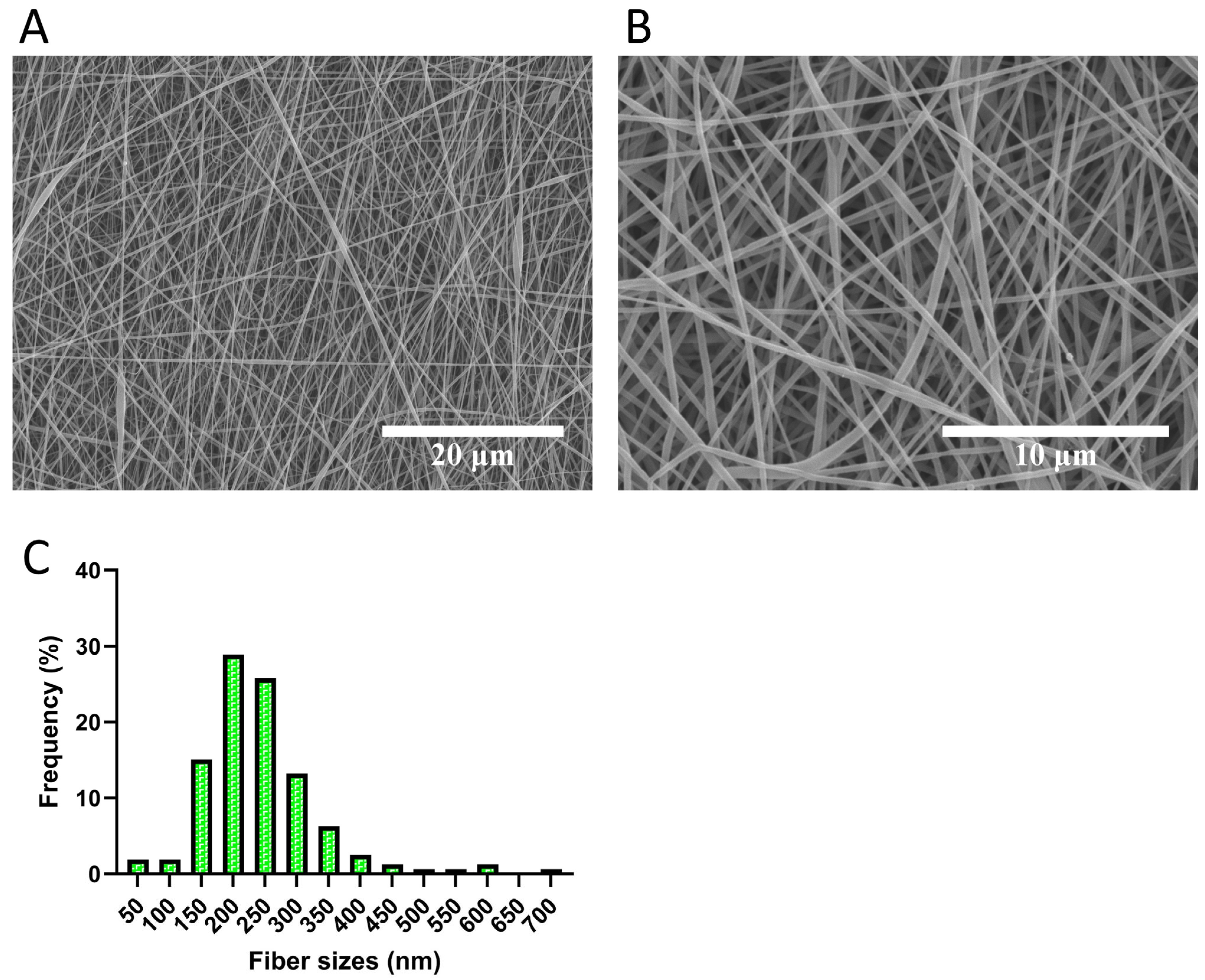 Bioengineering 12 01077 g001