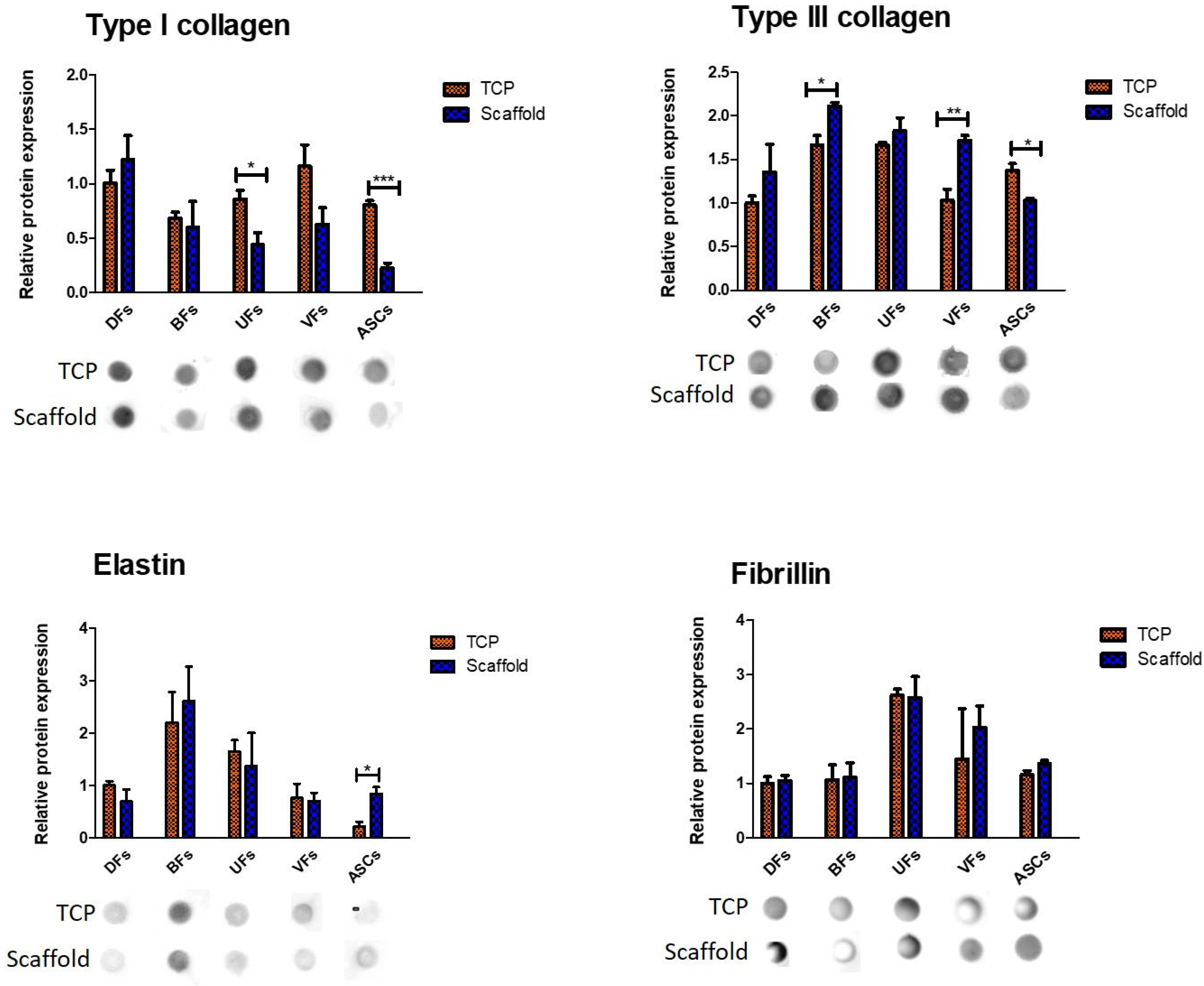 Bioengineering 12 01077 g007