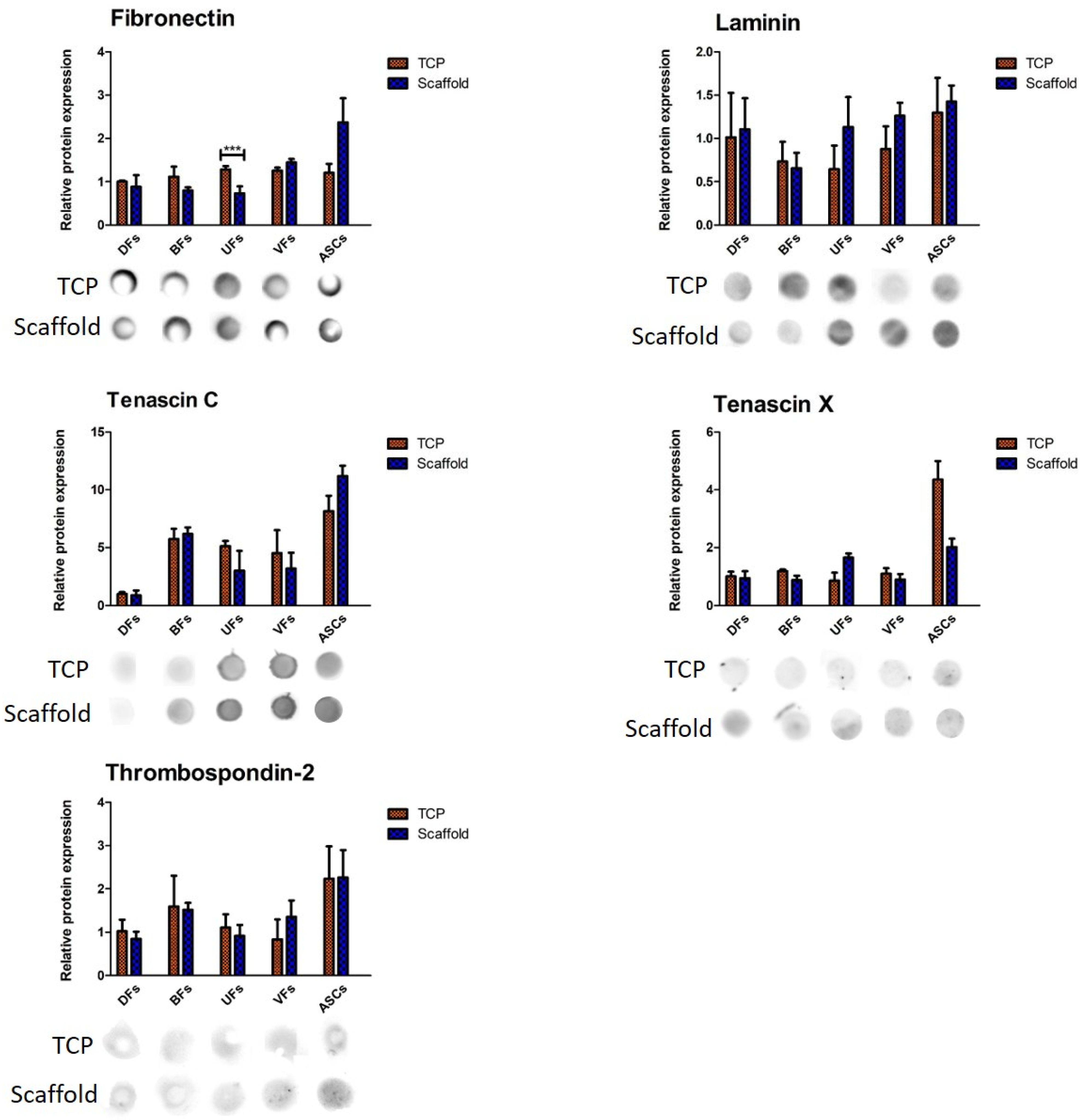 Bioengineering 12 01077 g008