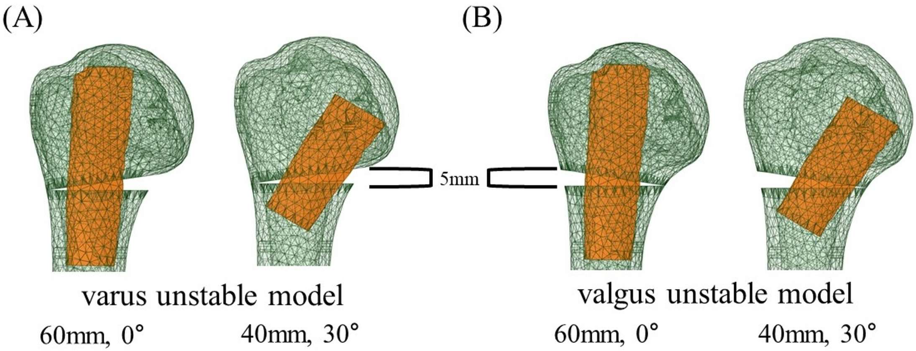 Bioengineering 12 01078 g002
