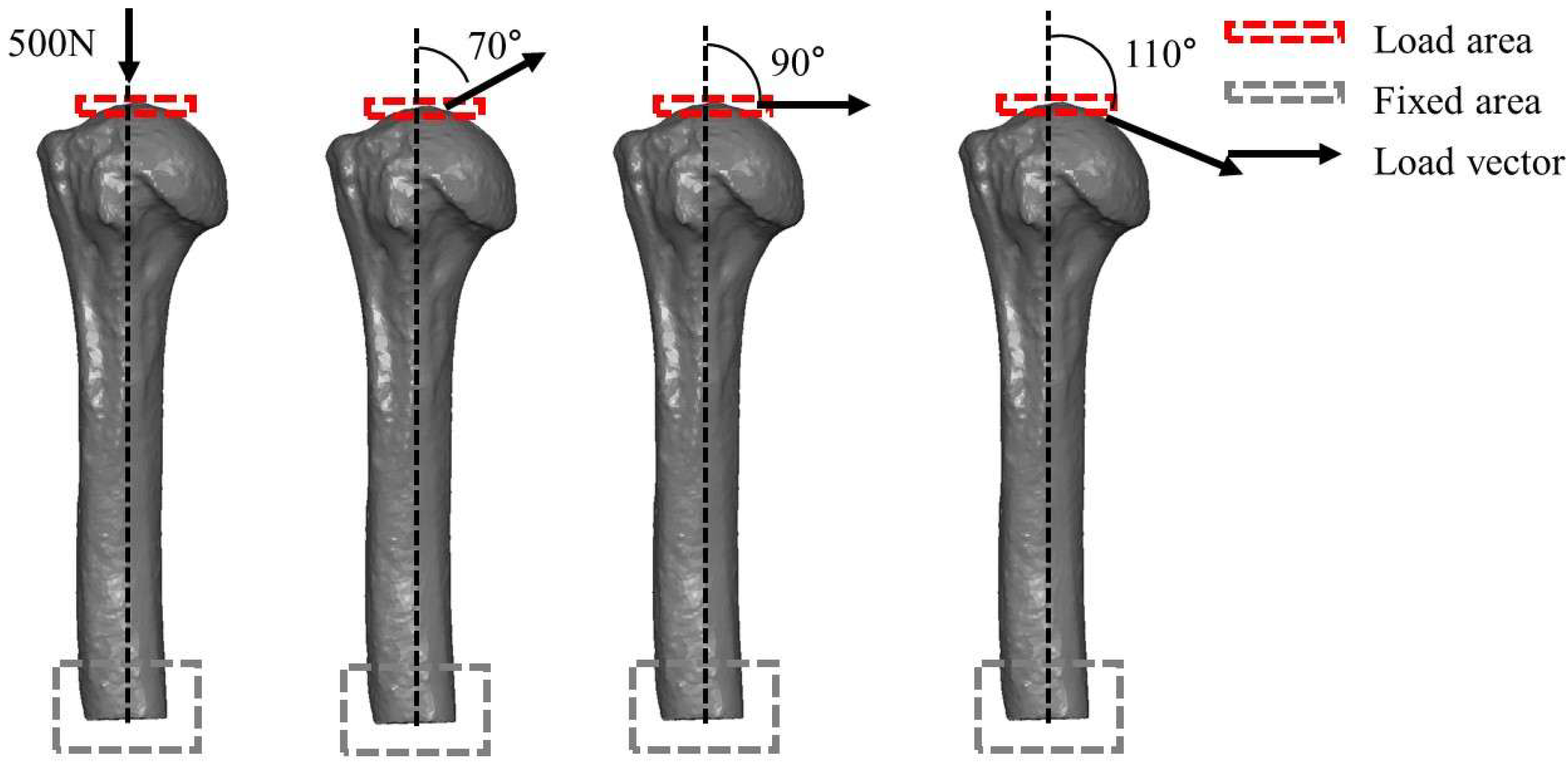 Bioengineering 12 01078 g003