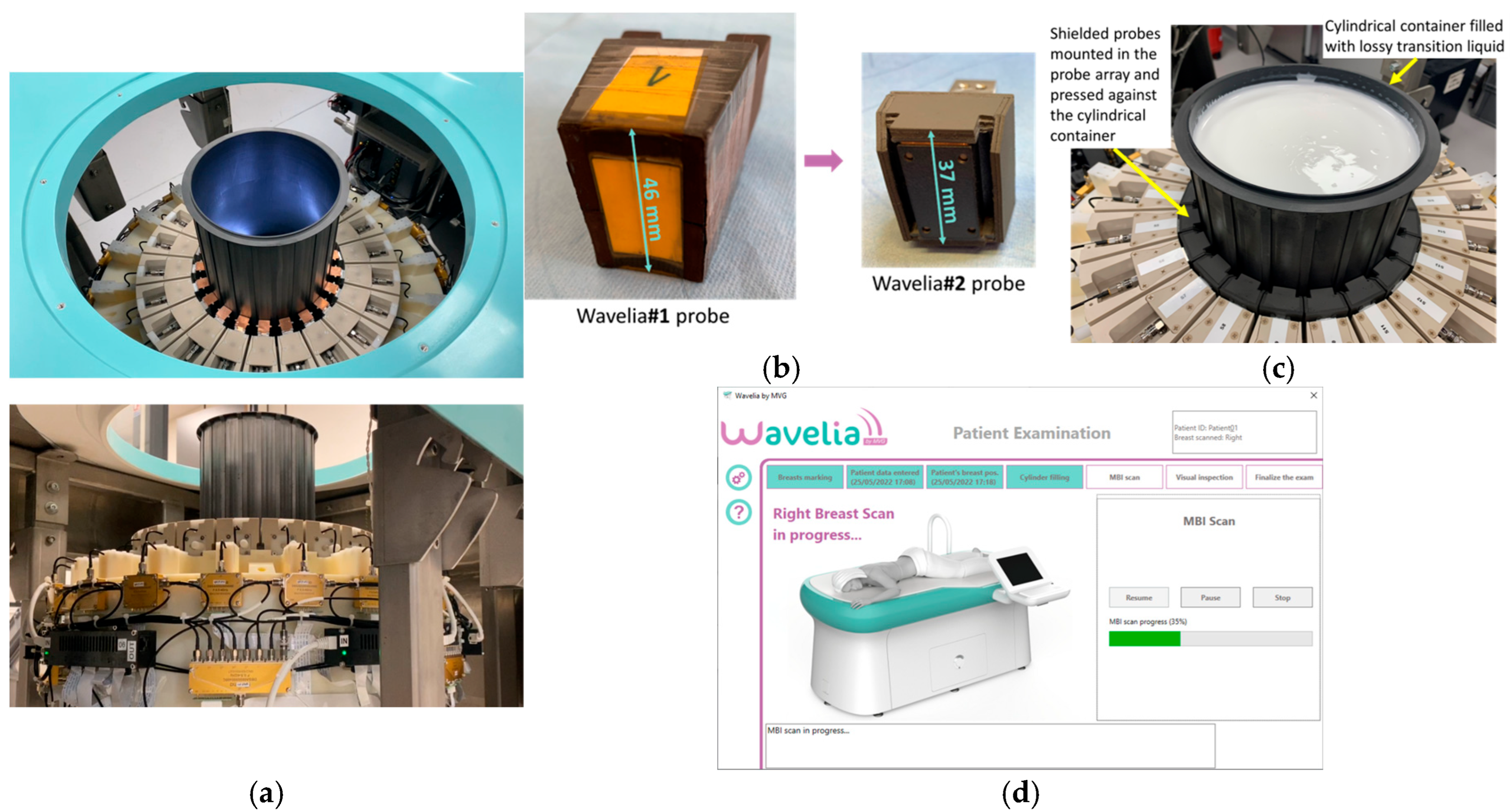 Bioengineering 12 01079 g001 Bioengineering 12 01079 g001