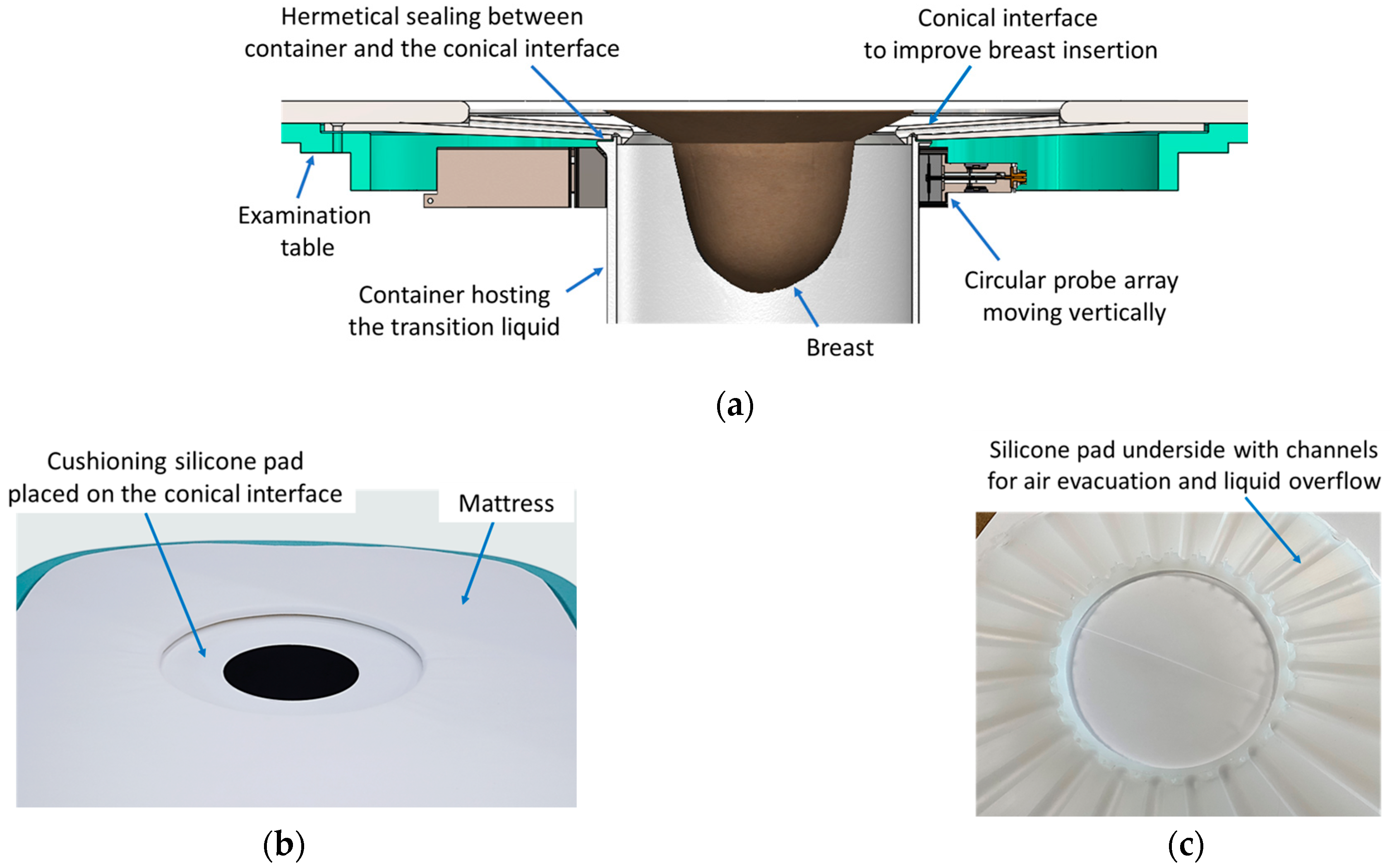 Bioengineering 12 01079 g004 Bioengineering 12 01079 g004