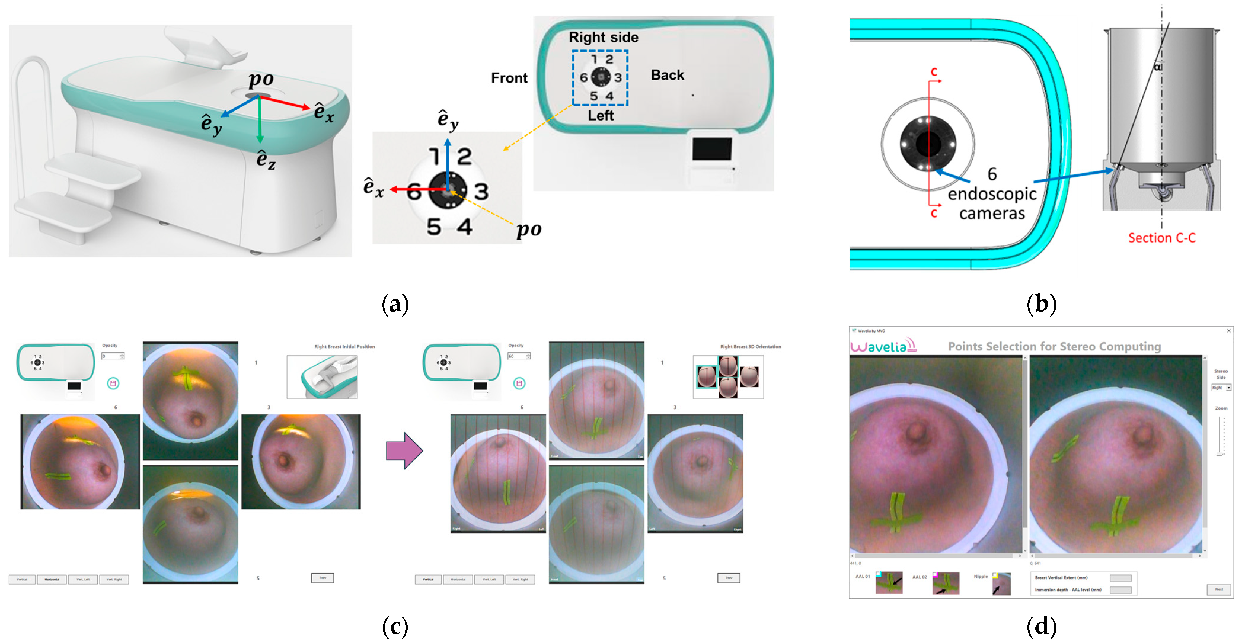 Bioengineering 12 01079 g006 Bioengineering 12 01079 g006