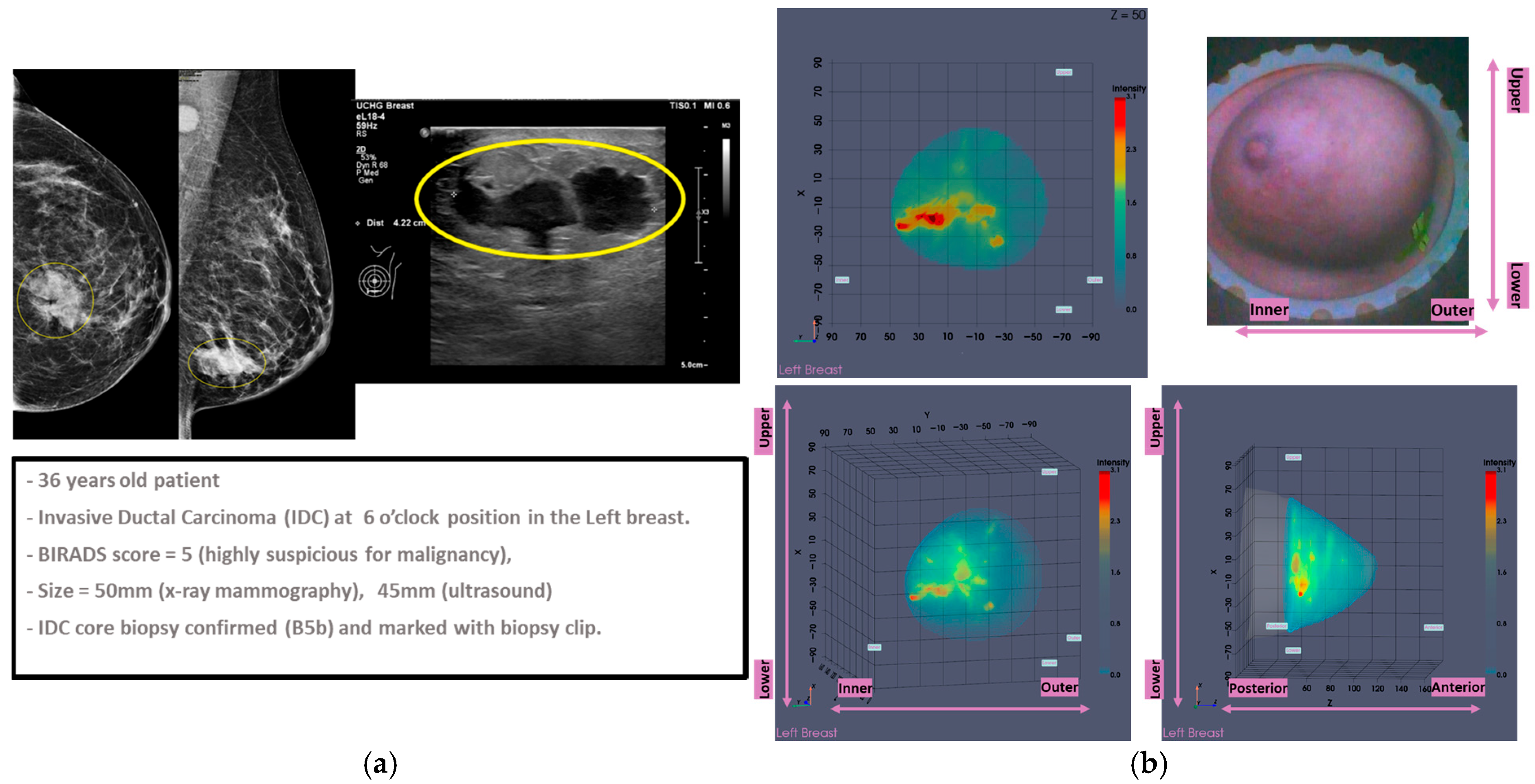 Bioengineering 12 01079 g007 Bioengineering 12 01079 g007
