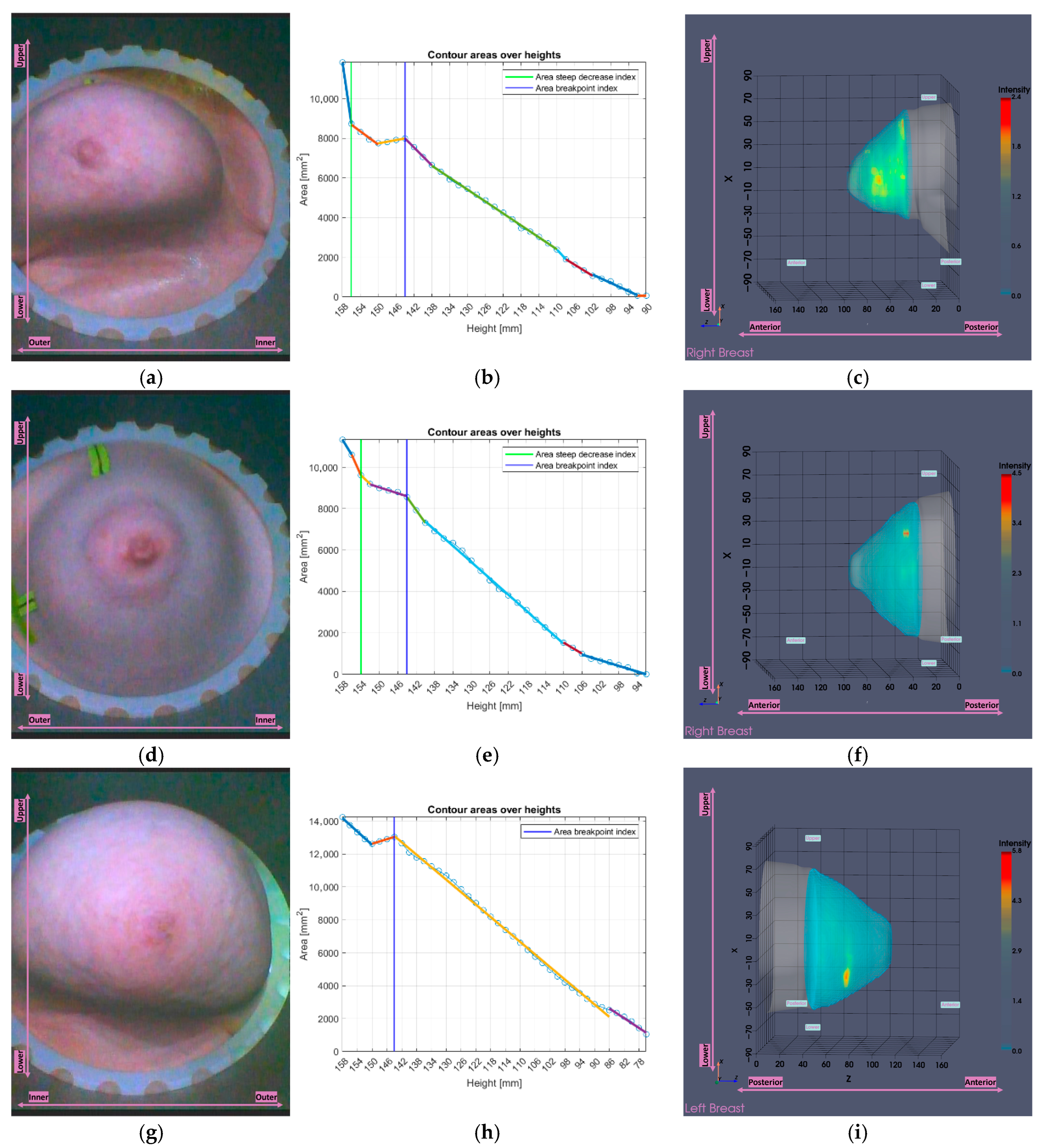 Bioengineering 12 01079 g020 Bioengineering 12 01079 g020