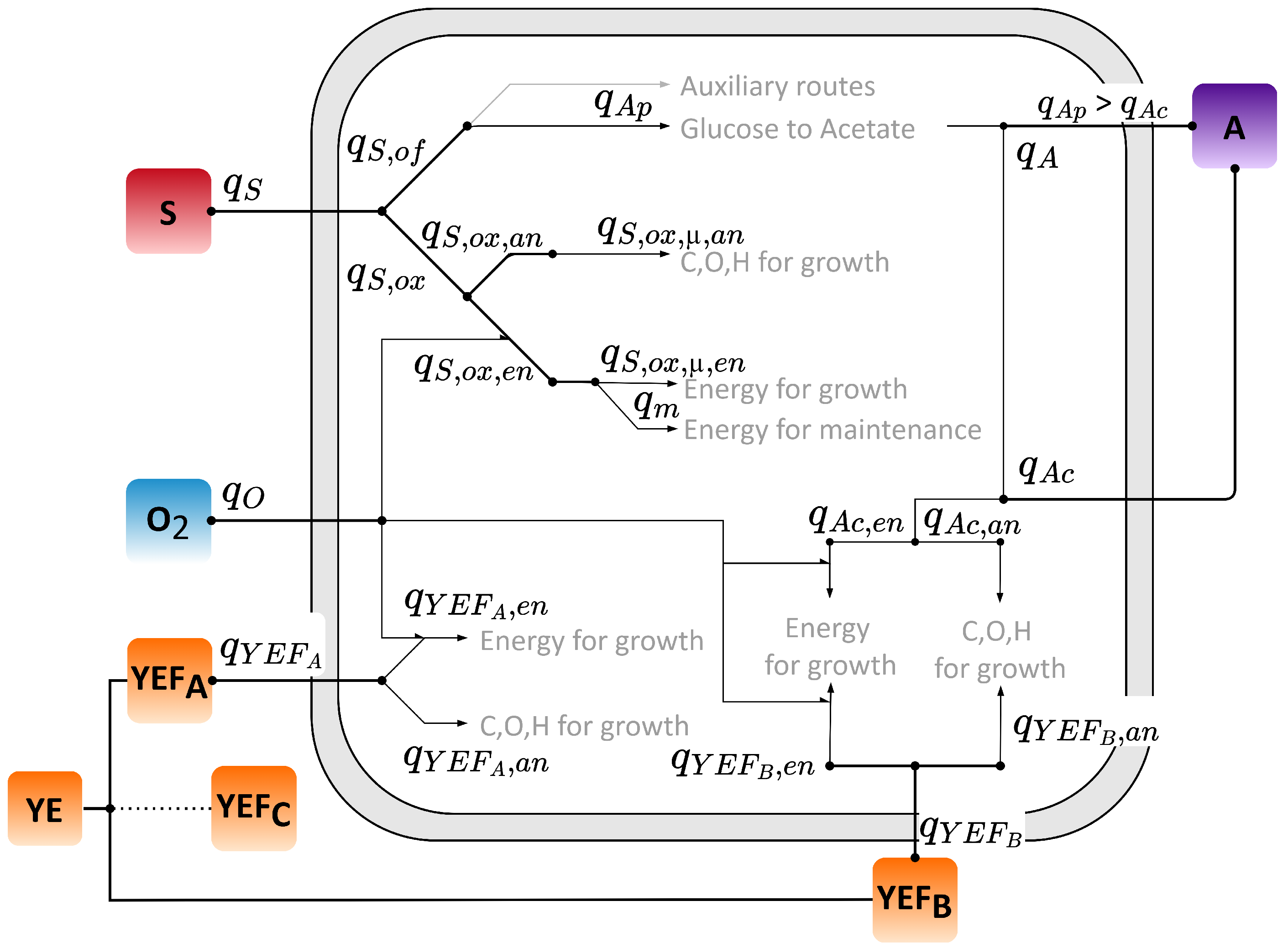 Bioengineering 12 01081 g001