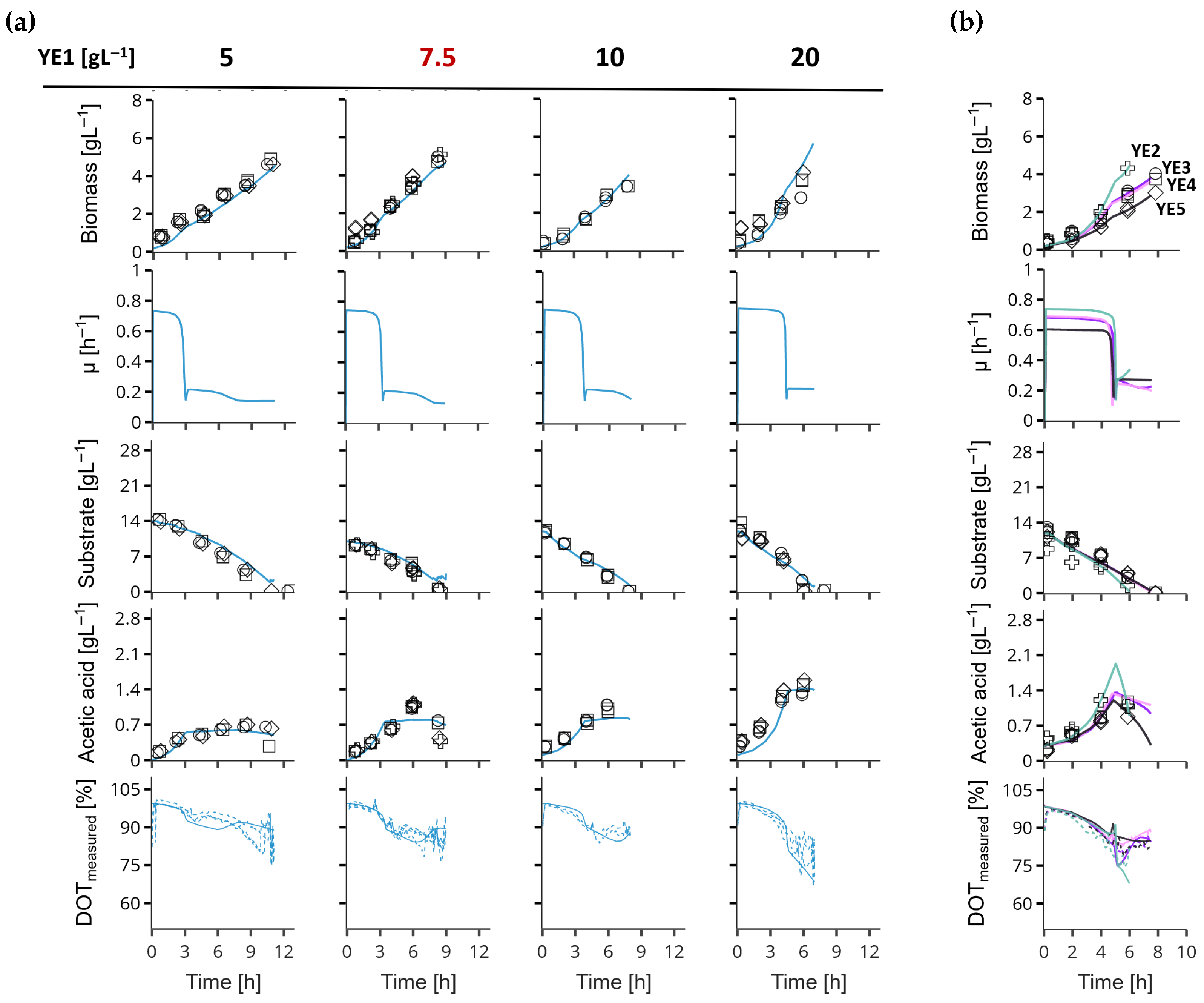 Bioengineering 12 01081 g003