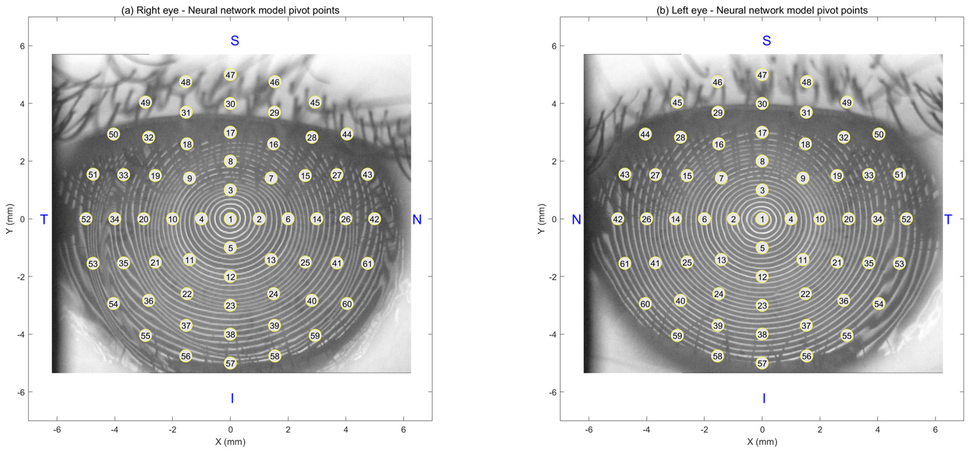 Bioengineering 12 01086 g0a1