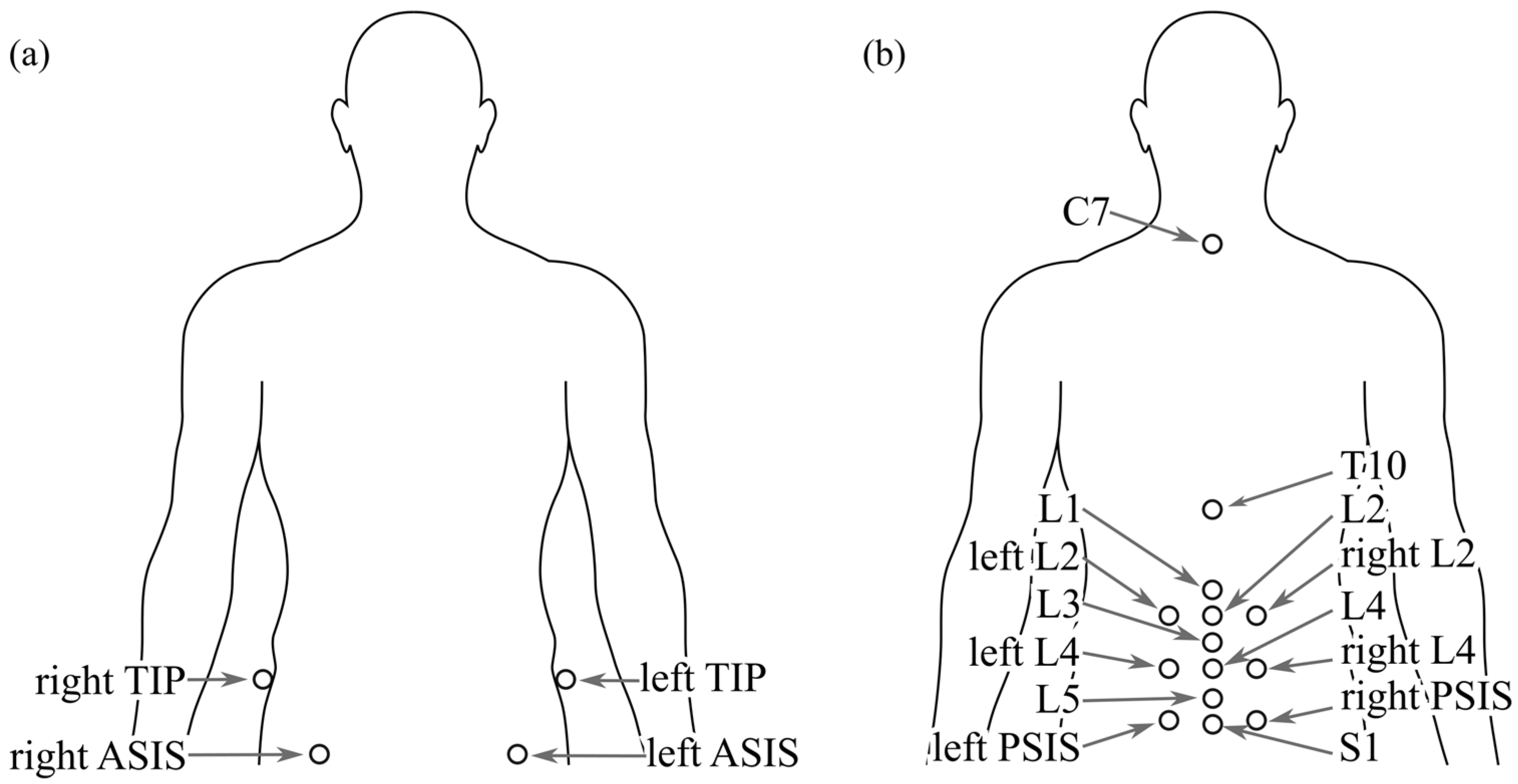 Bioengineering 12 01087 g001