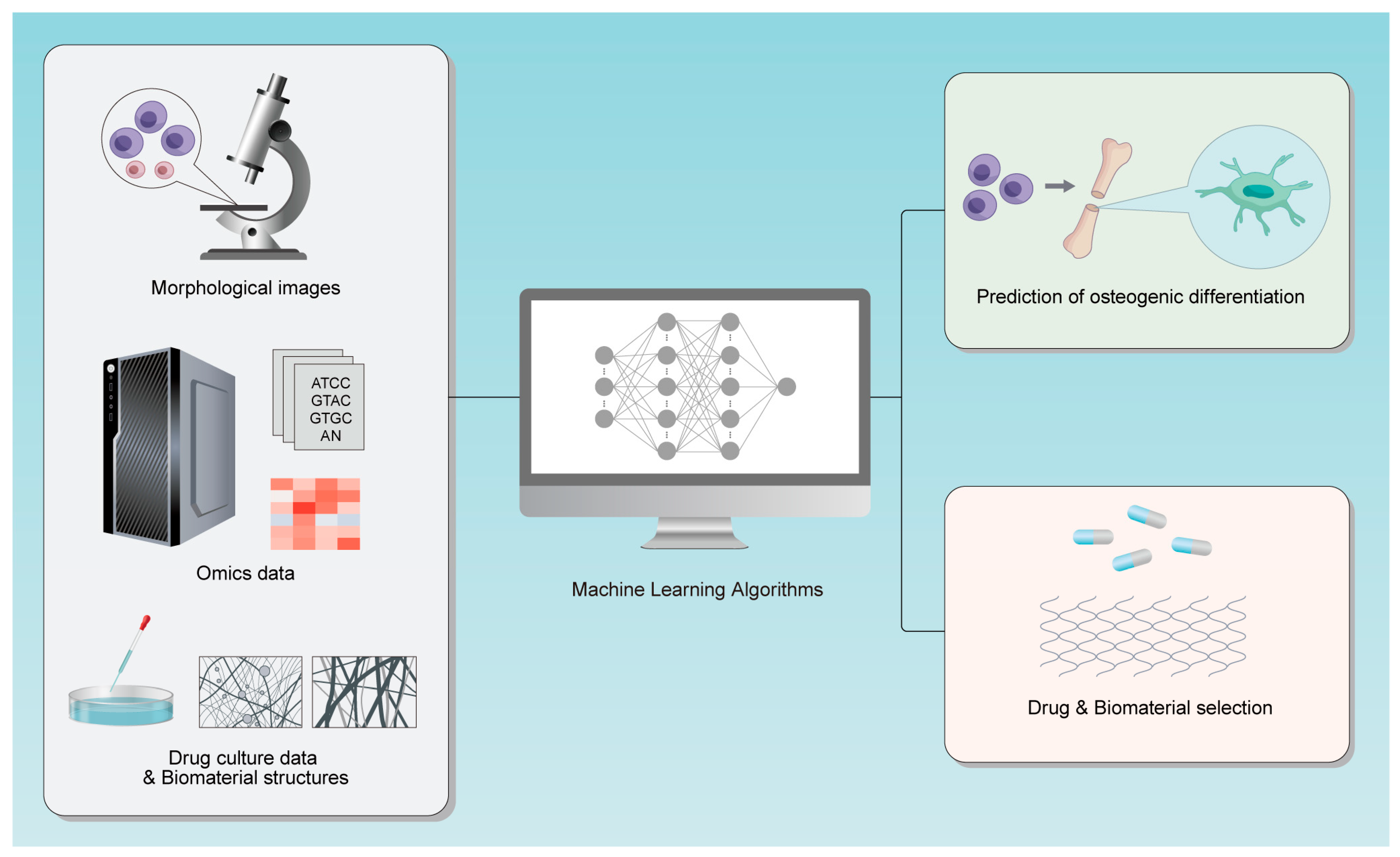Bioengineering 12 01089 g001 Bioengineering 12 01089 g001