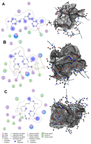 Bioengineering 12 01090 g003