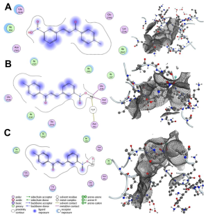 Bioengineering 12 01090 g004