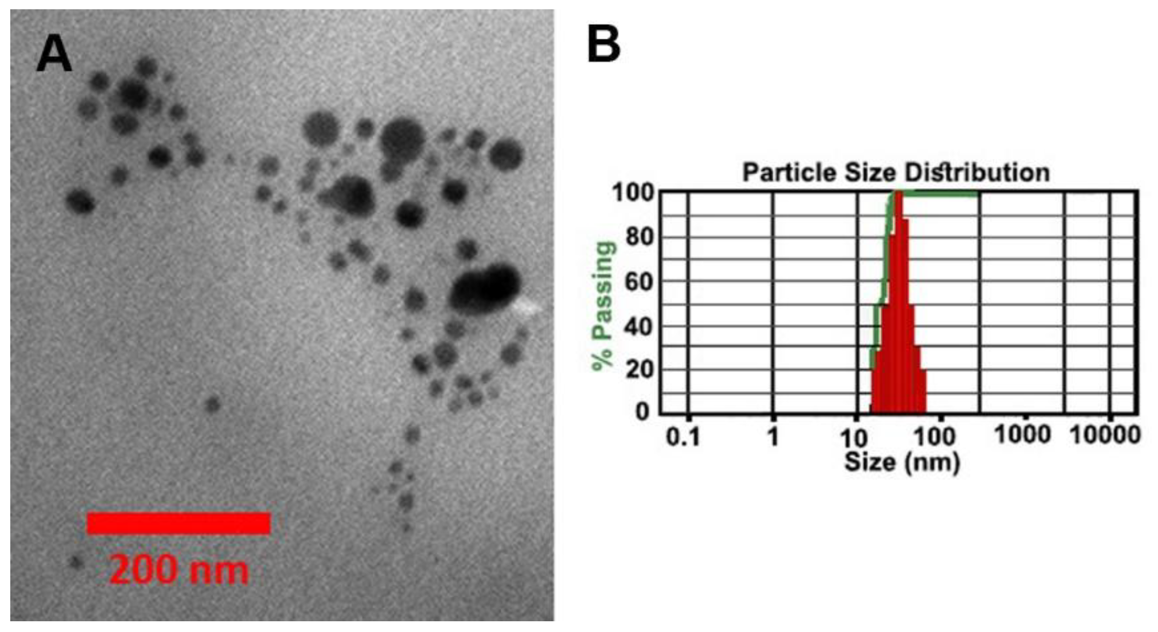 Bioengineering 12 01090 g005